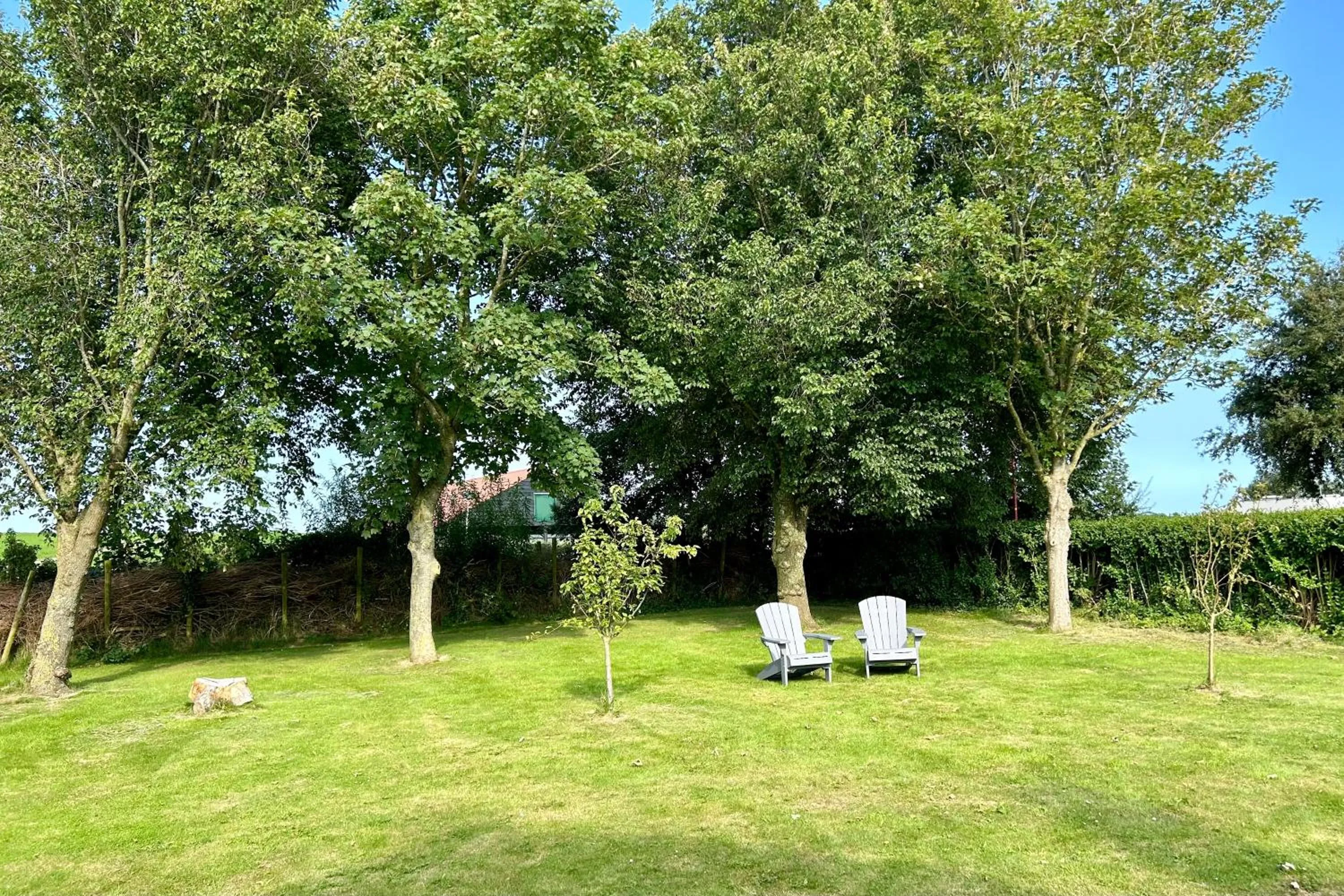 Garden in Villa Nieuwland B&B