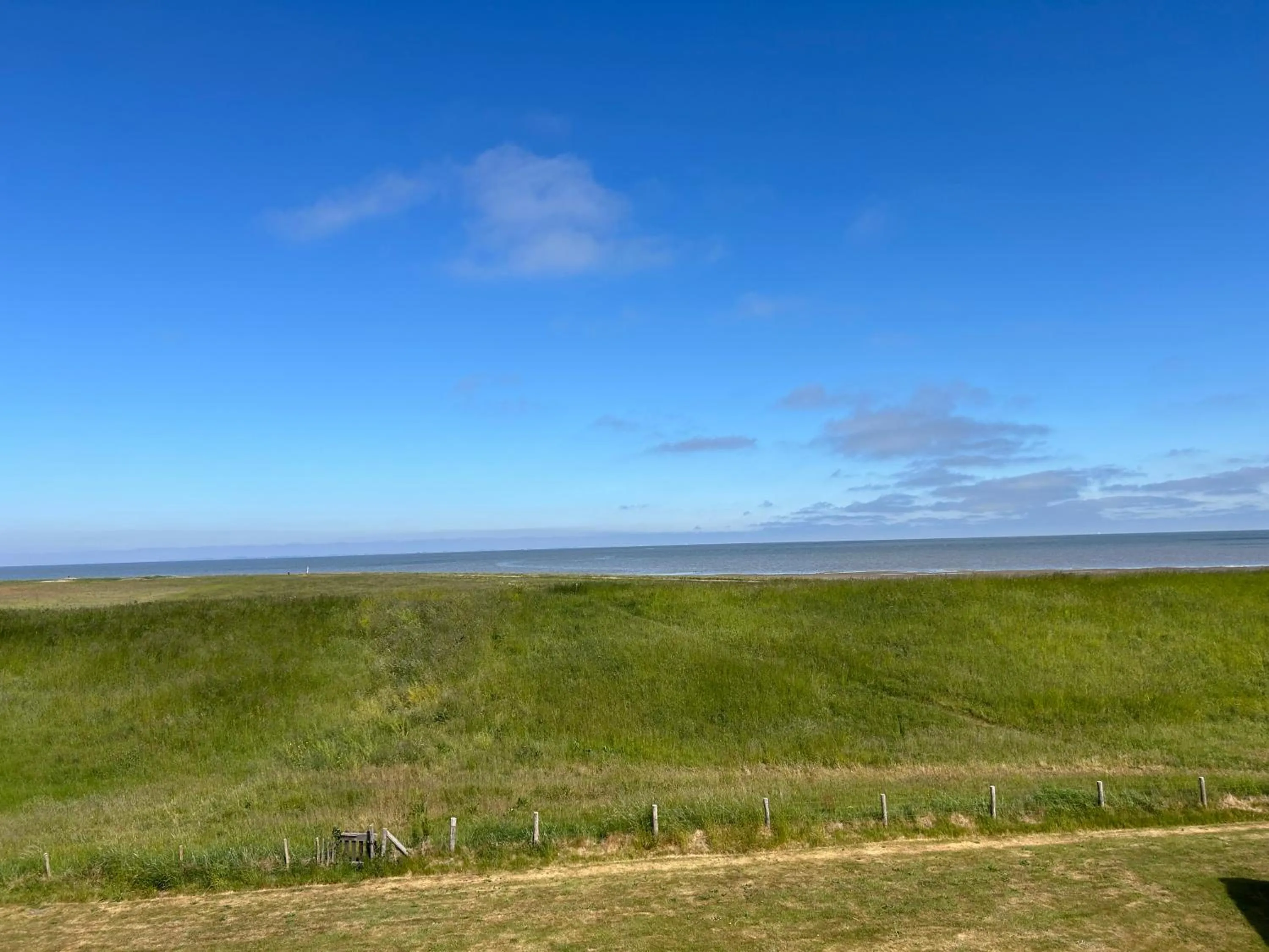 View (from property/room) in Villa Nieuwland B&B