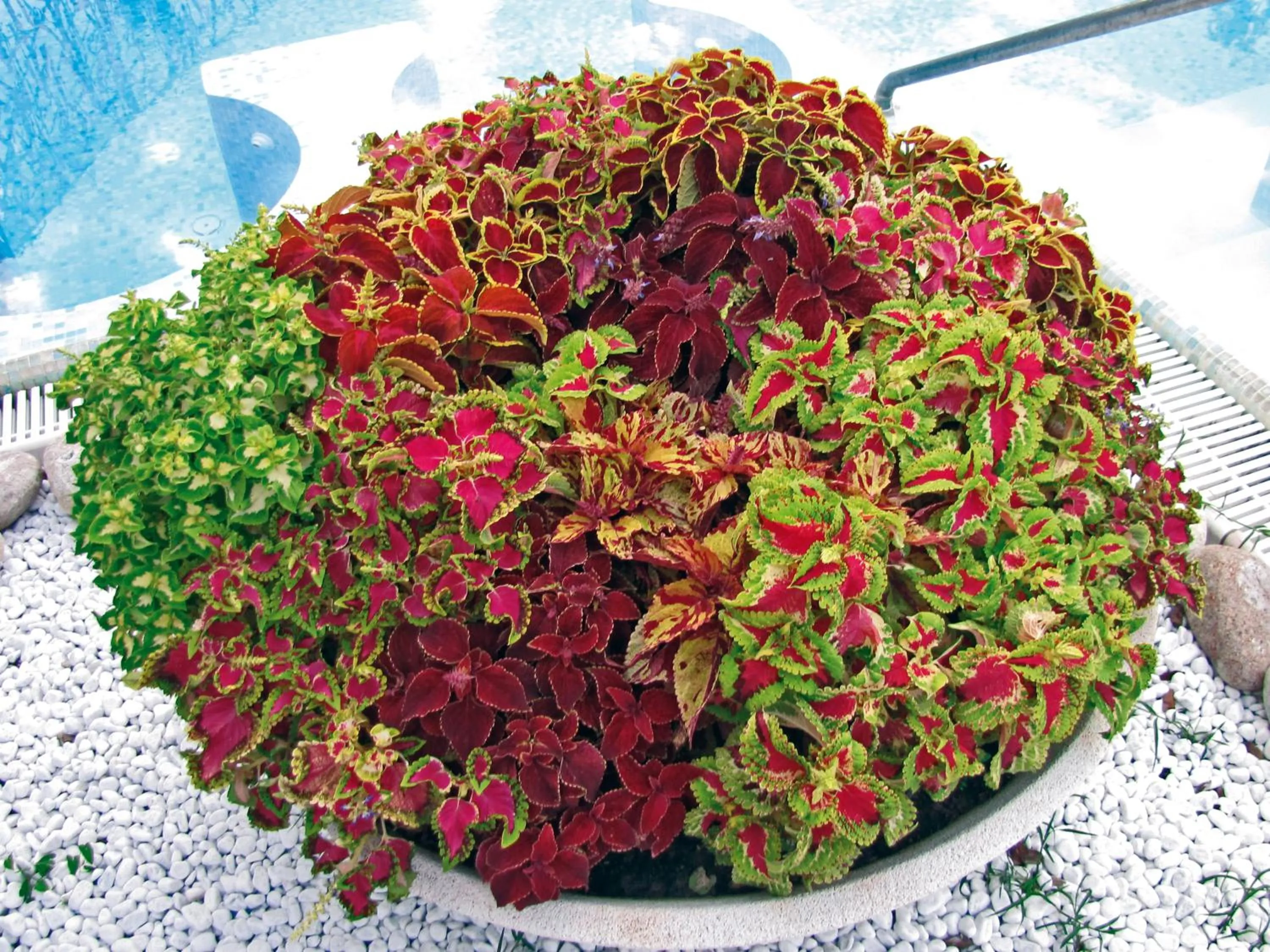 Decorative detail in Hotel Terme Orvieto