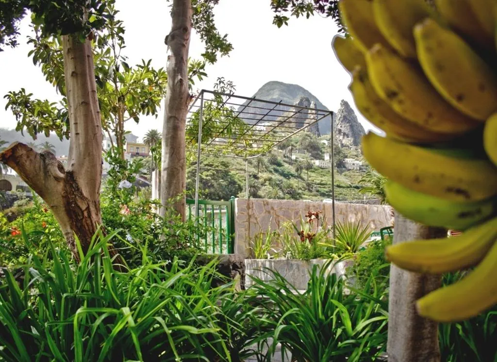 Garden in Finca Piñero