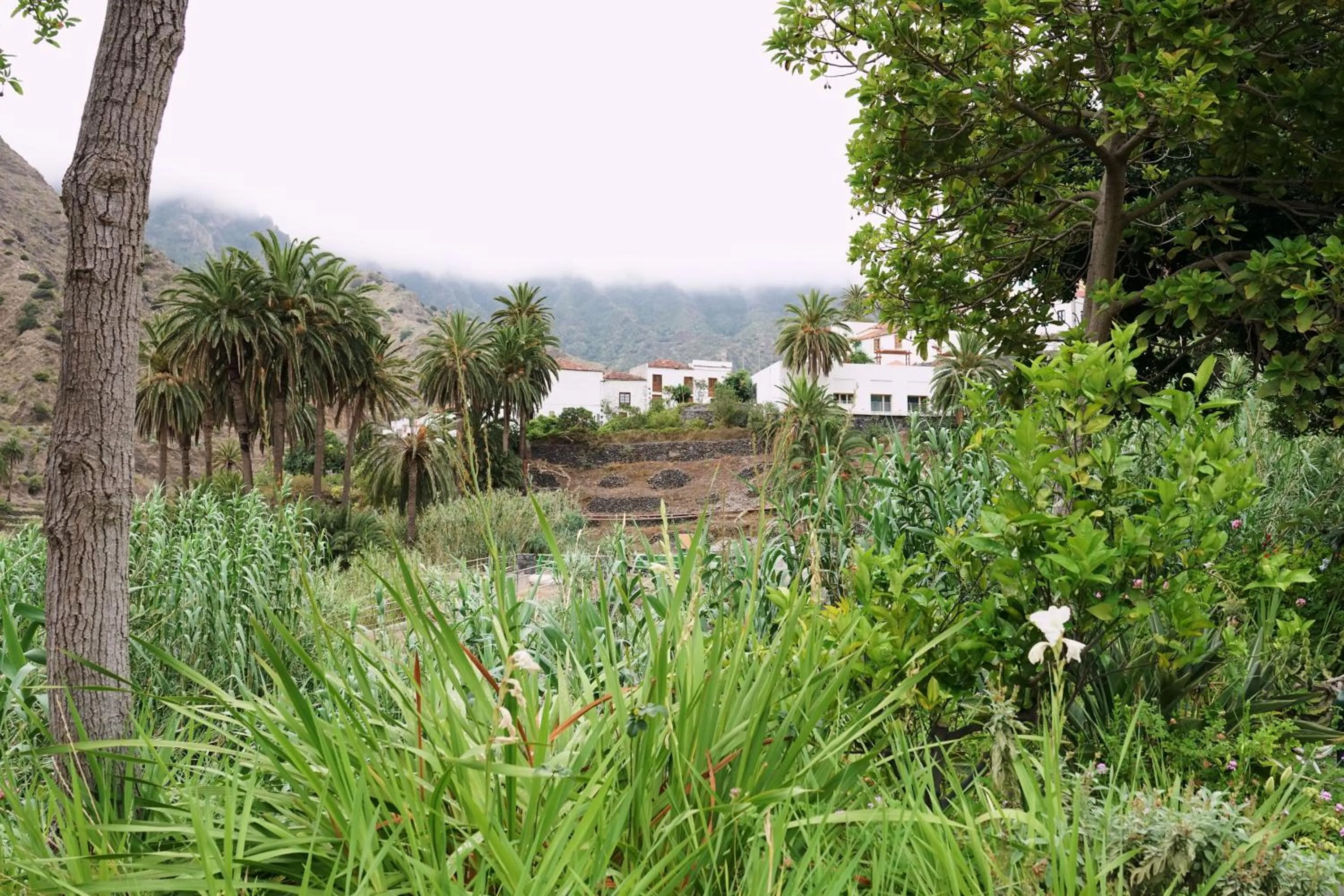 Mountain view in Finca Piñero