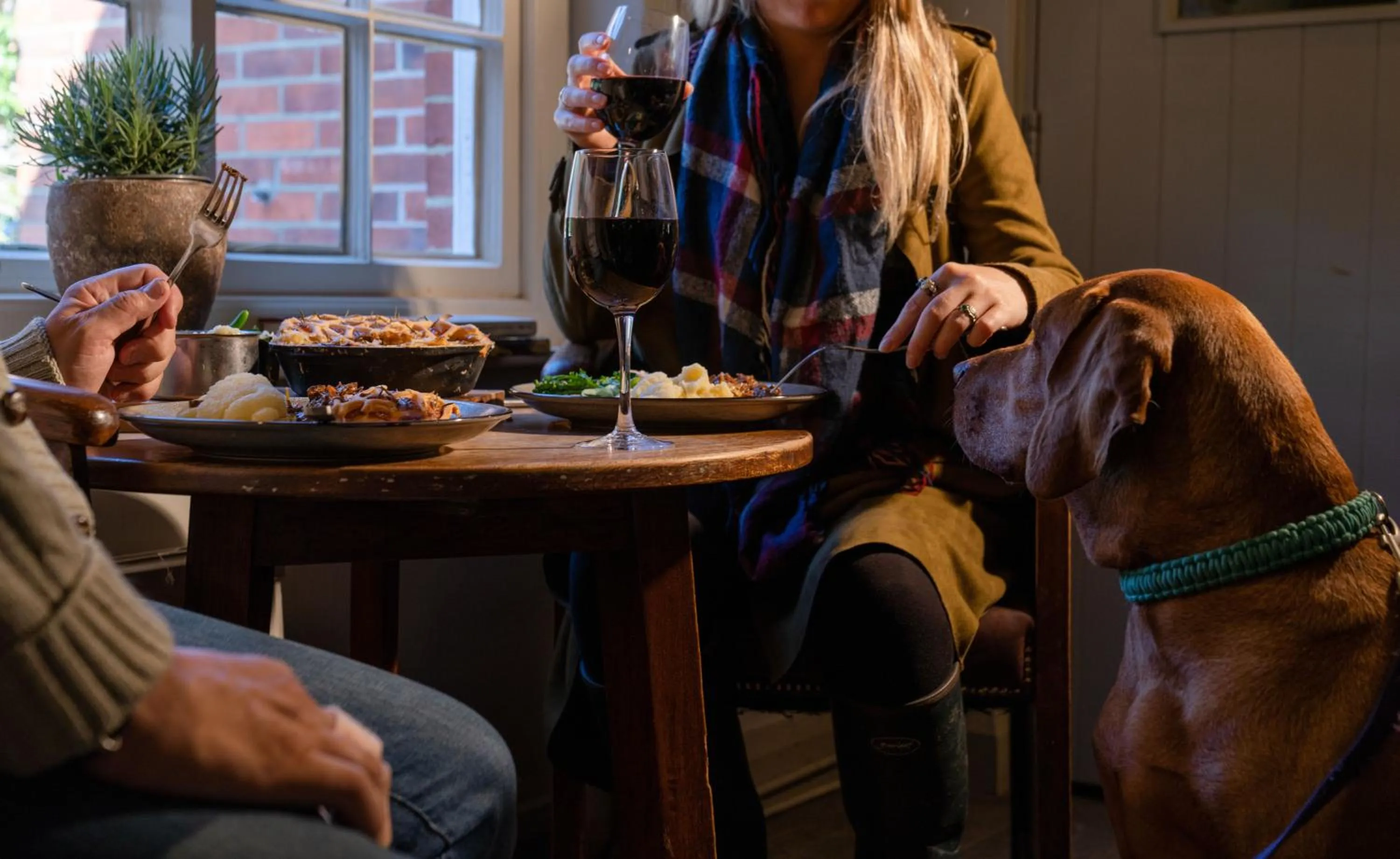 Pets in The George Inn