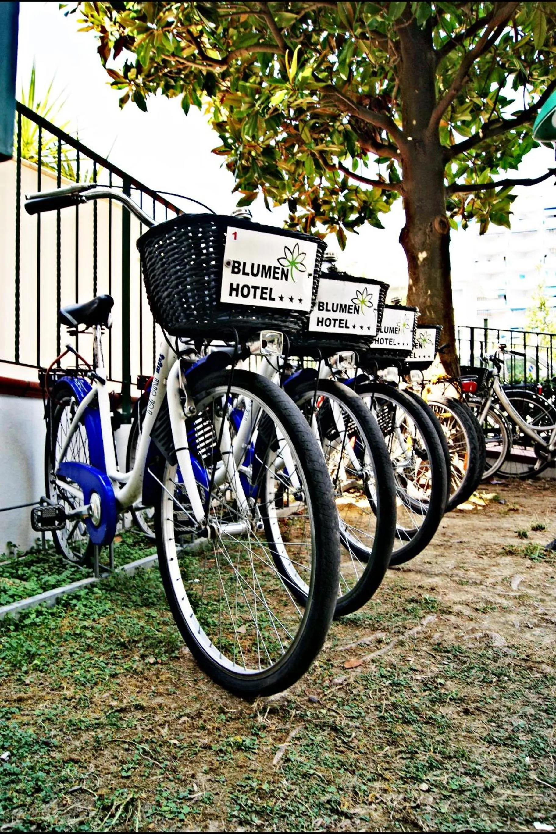 Cycling in Hotel Blumen