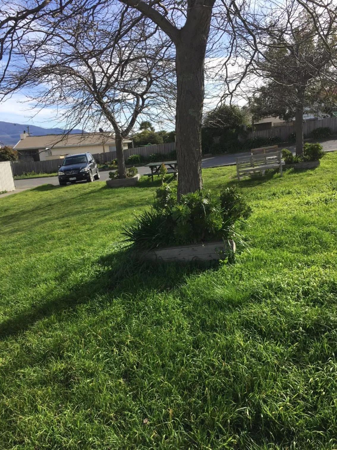 Garden in Hobart Apartments