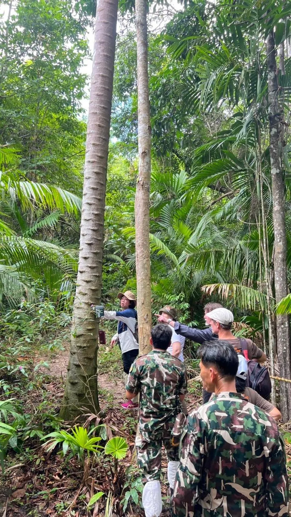 Activities in The Piano Resort Khaoyai