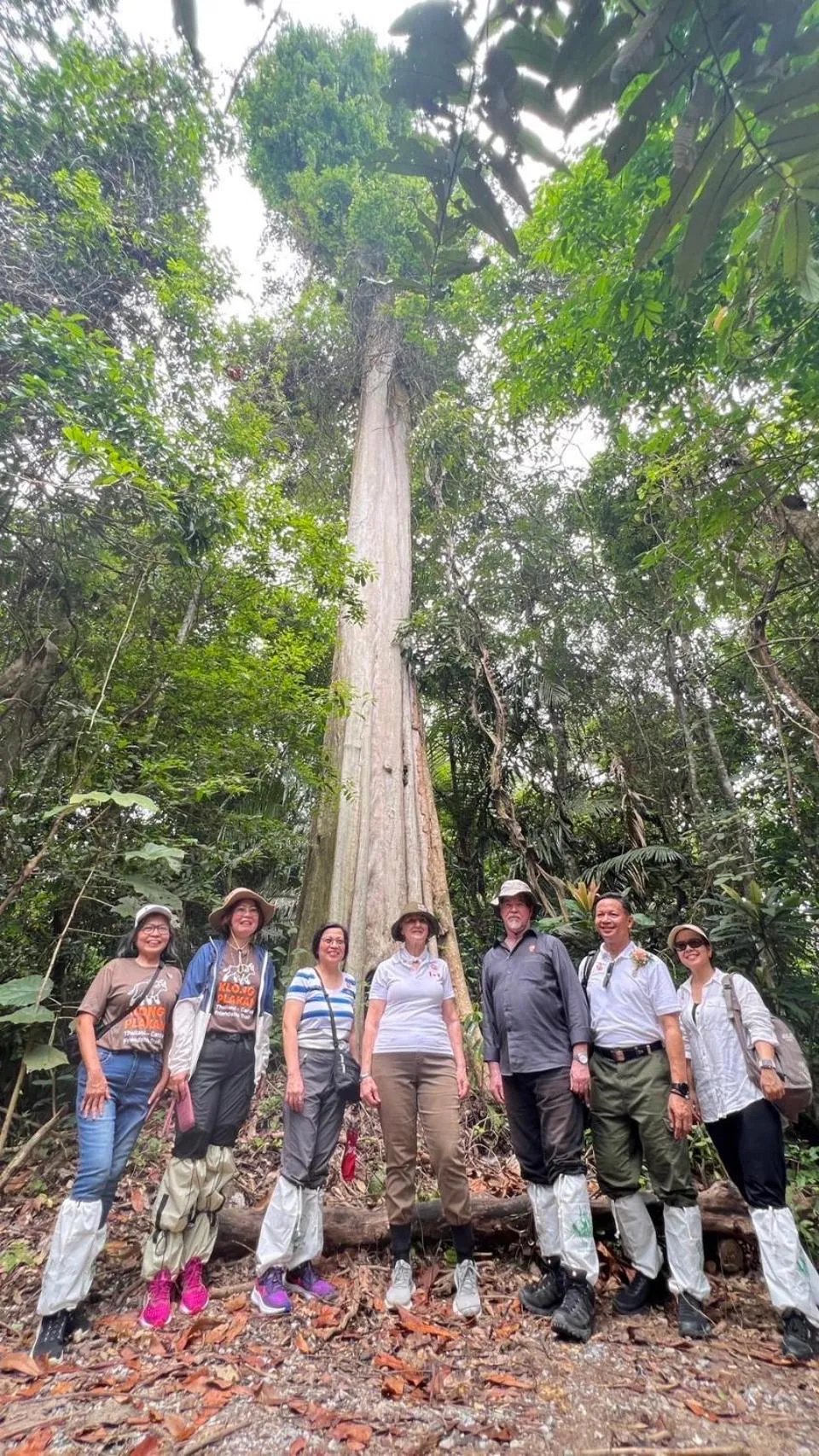 Activities in The Piano Resort Khaoyai