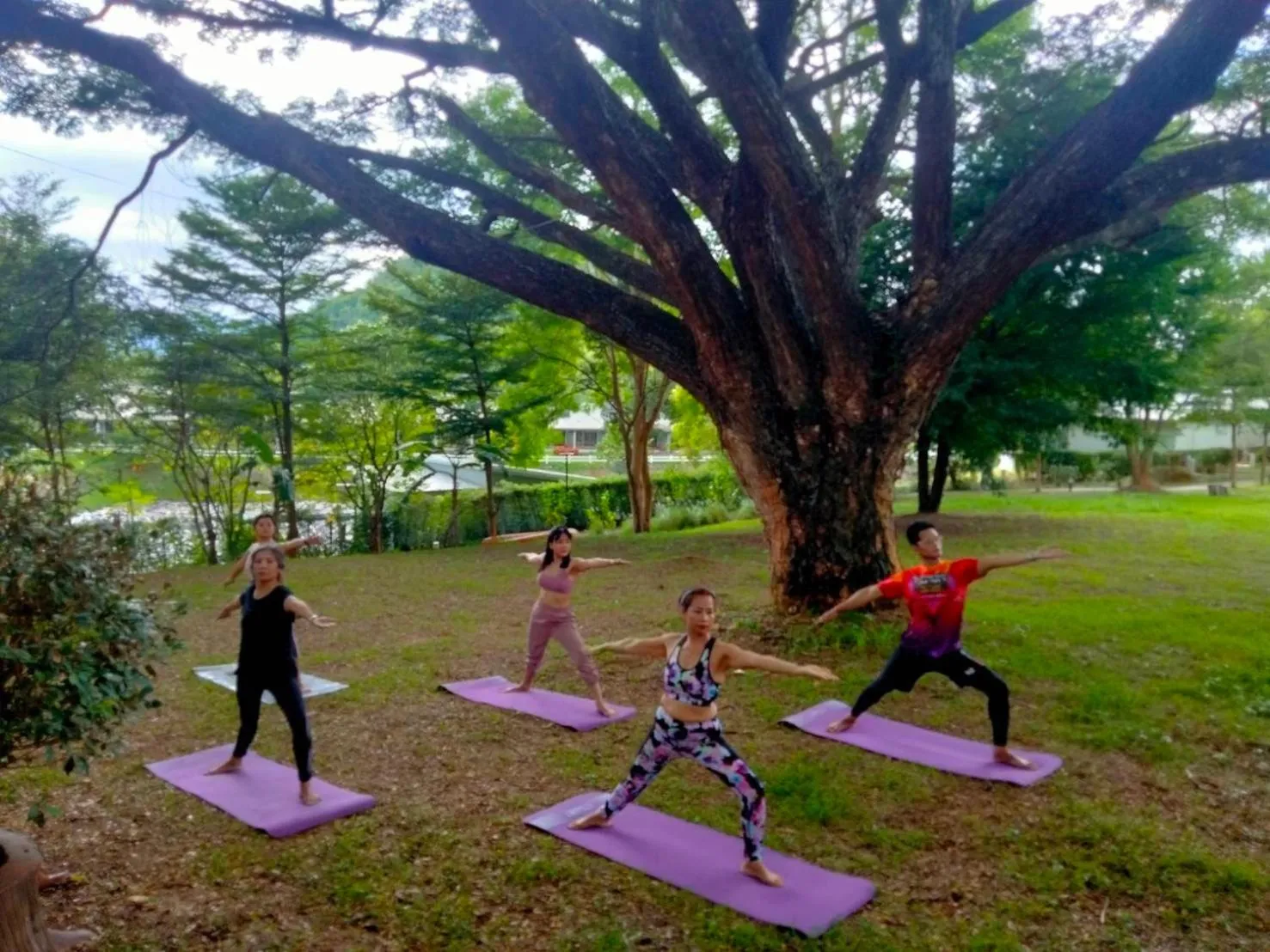 The Piano Resort Khaoyai