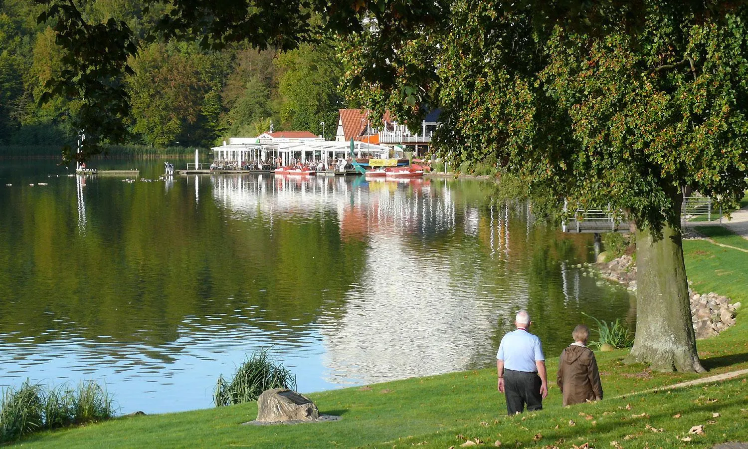 Lake view in Hotel Diekseequell Superior am Dieksee
