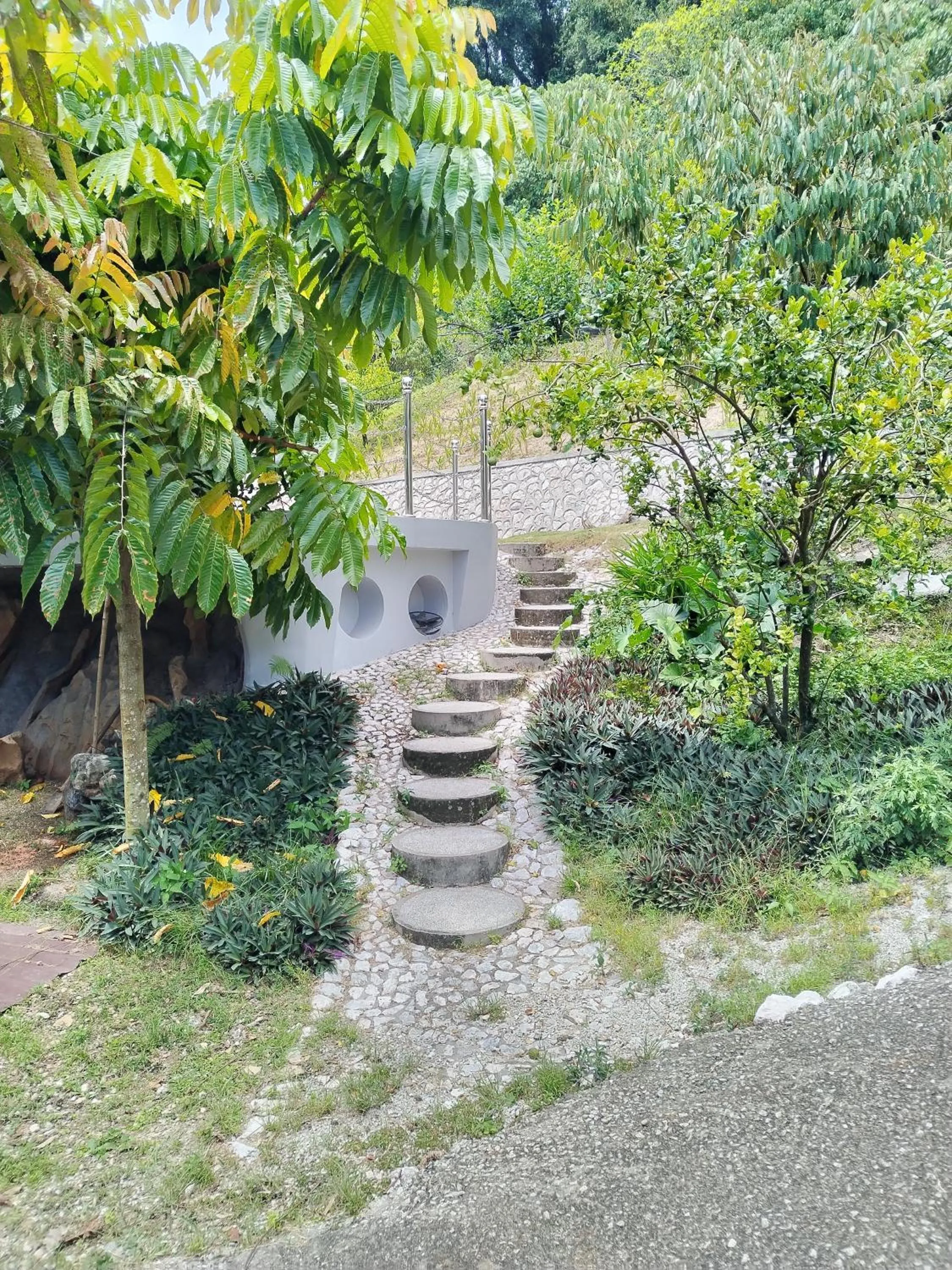 Natural landscape in Rocky Farm