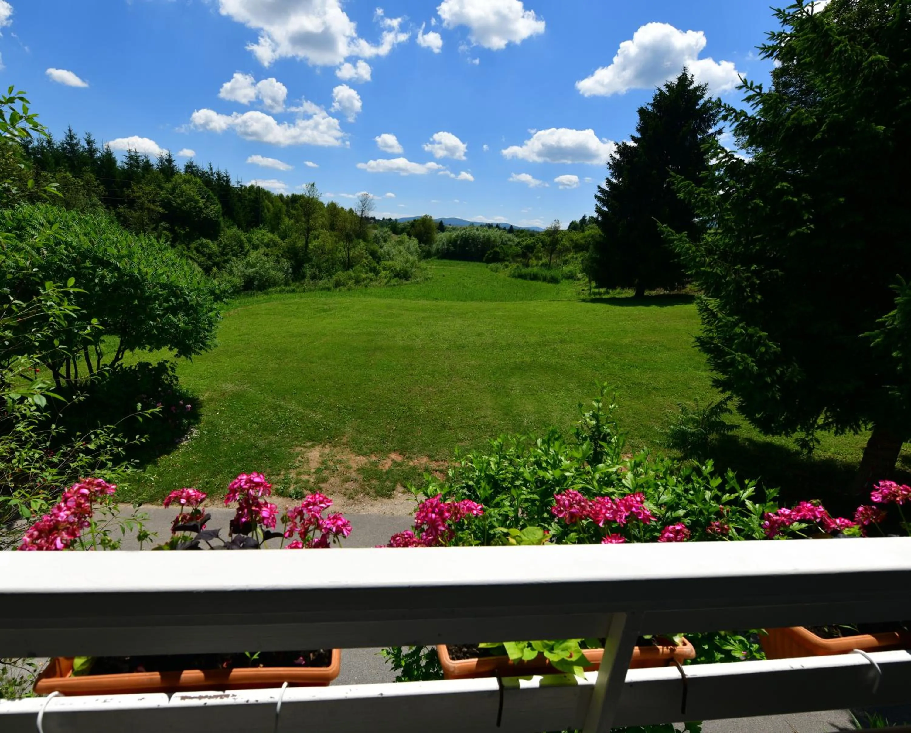 Natural landscape in Apartments Marija