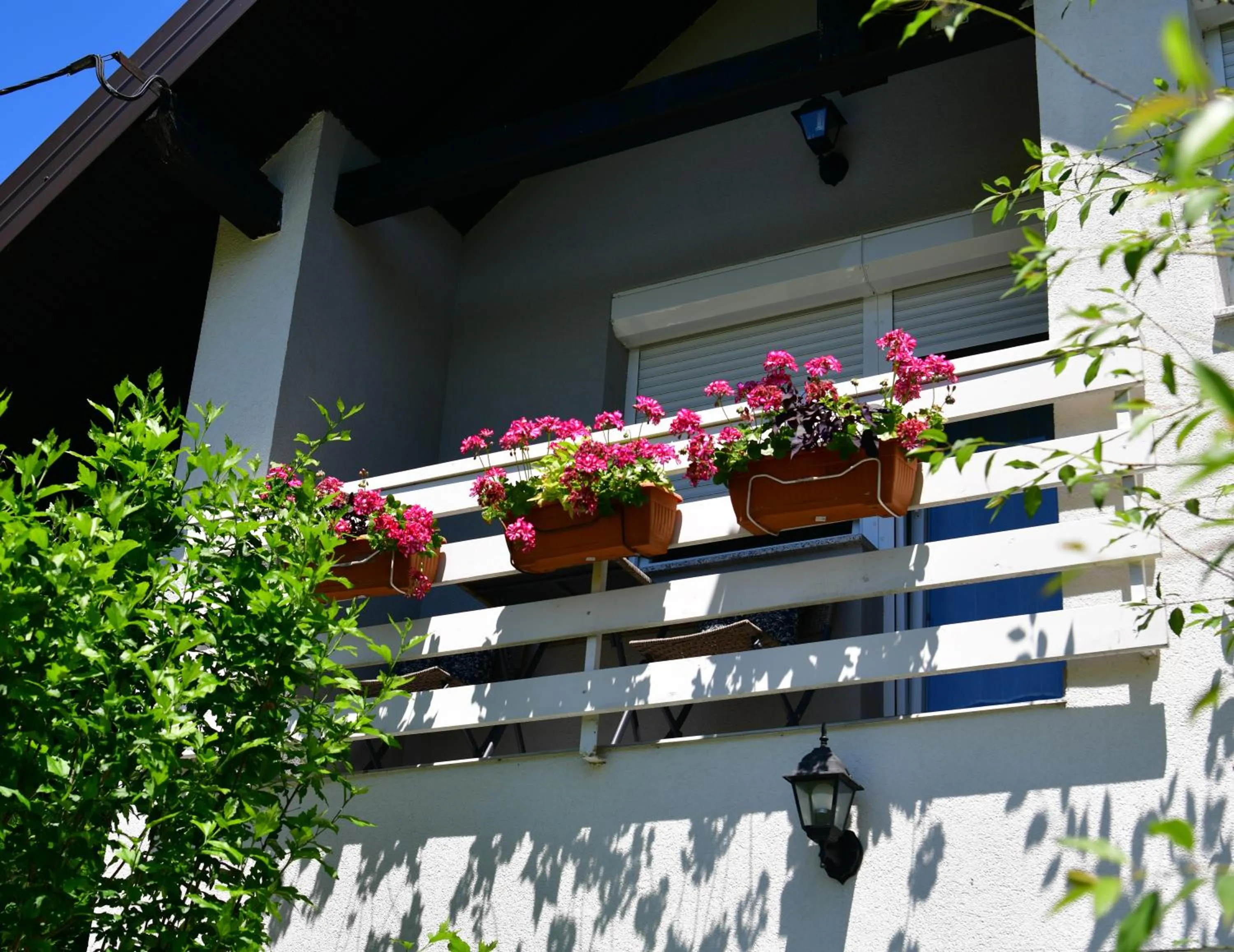 Property building in Apartments Marija
