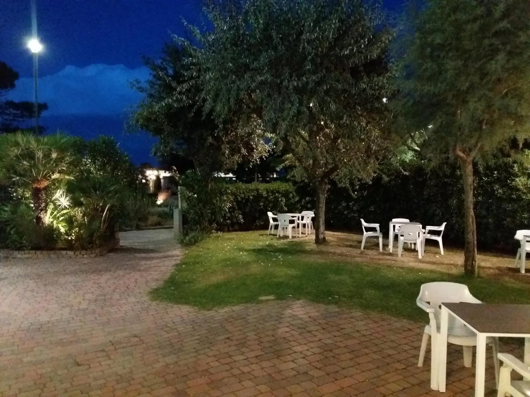 Garden in Hotel Astor B&B