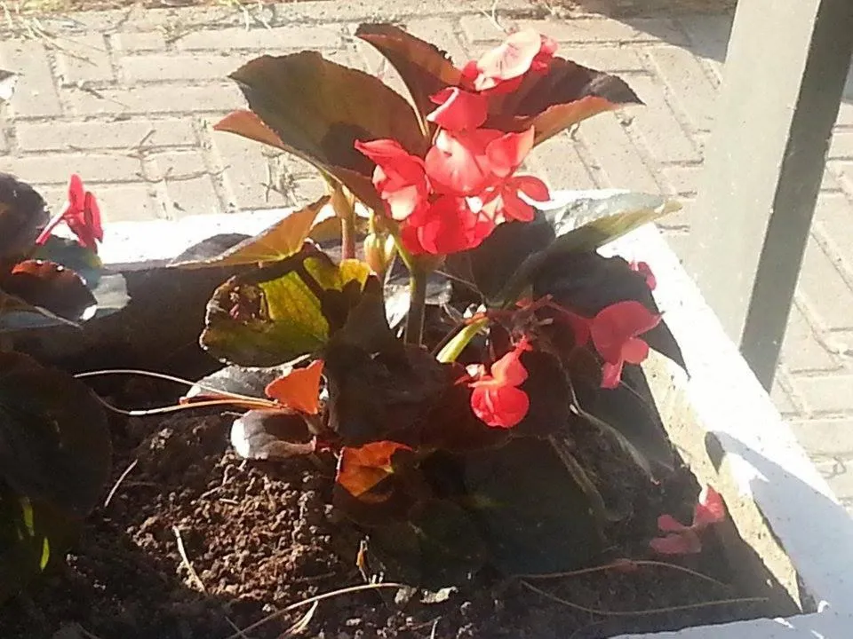 Other in Hotel Franca