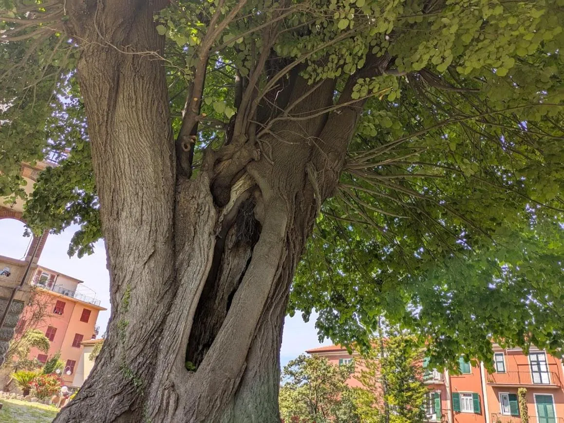 Villa Fieschi Boutique Hotel