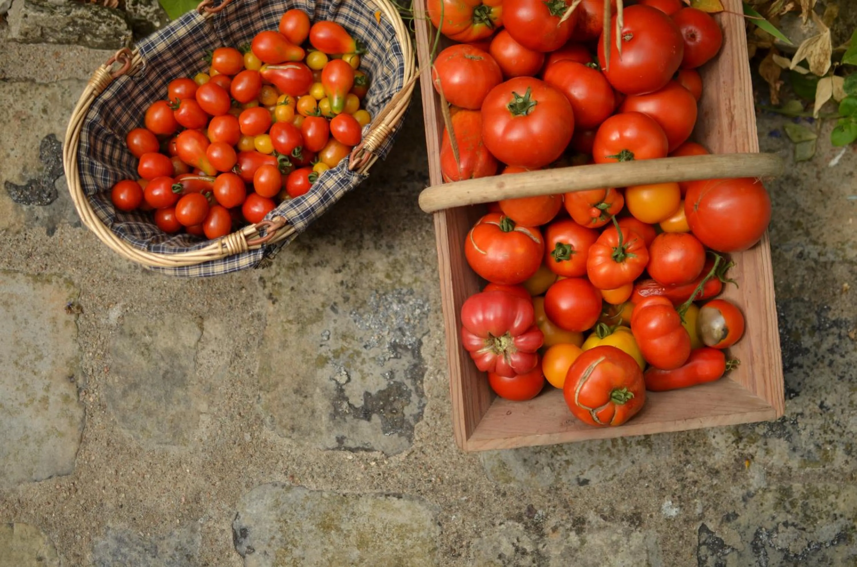 Food in Le clos du Ru