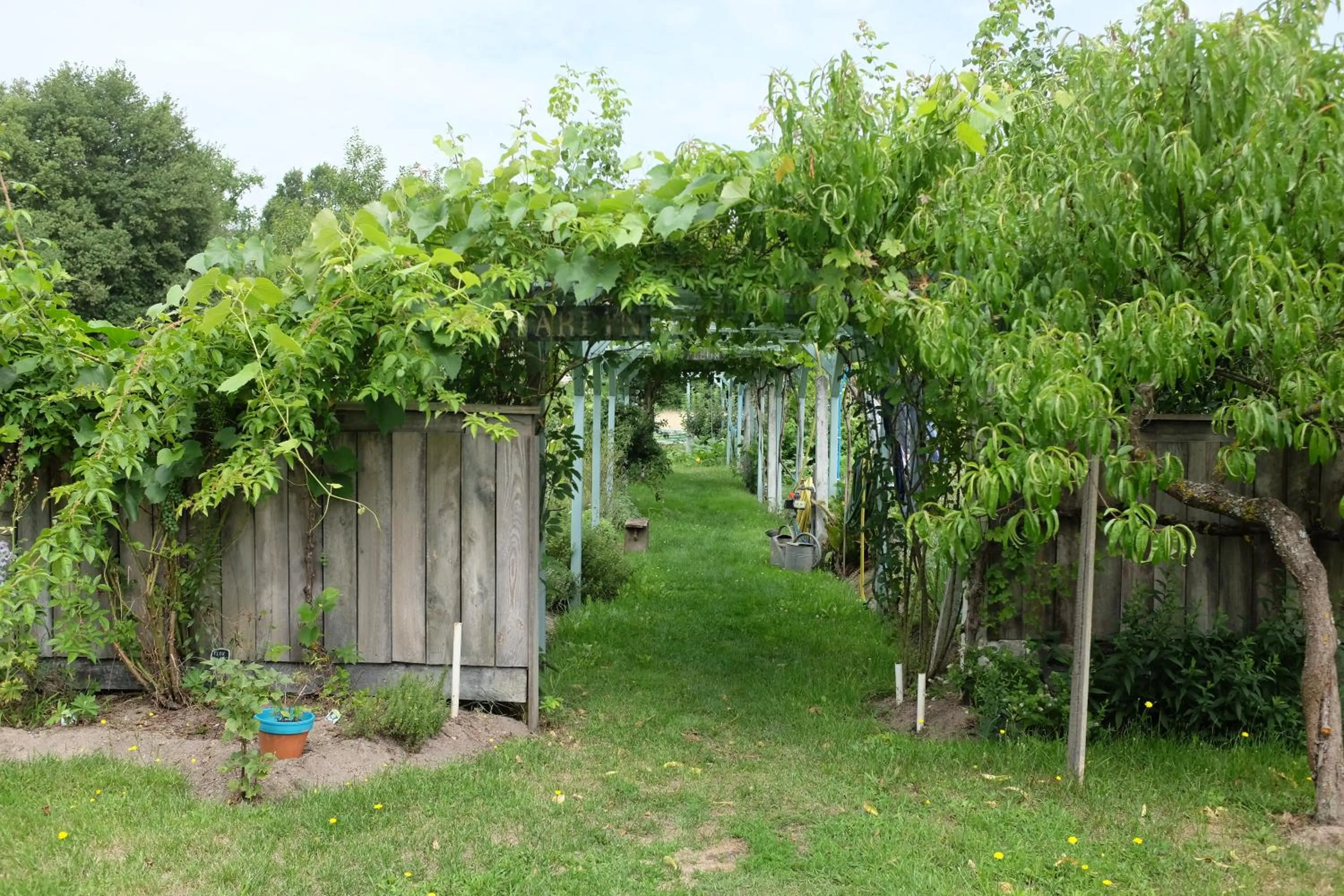 Garden in Le clos du Ru