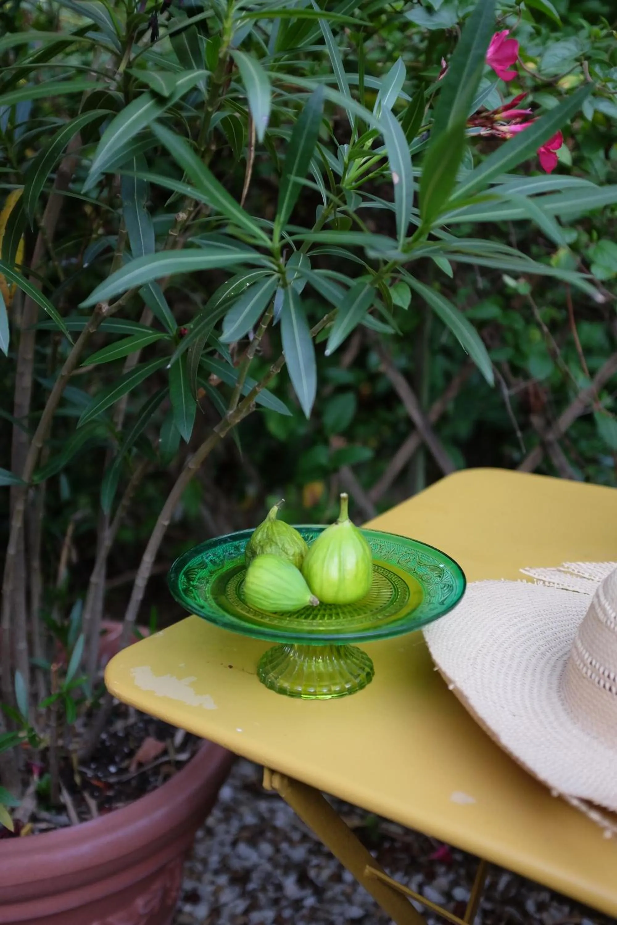 Food and drinks in Le clos du Ru