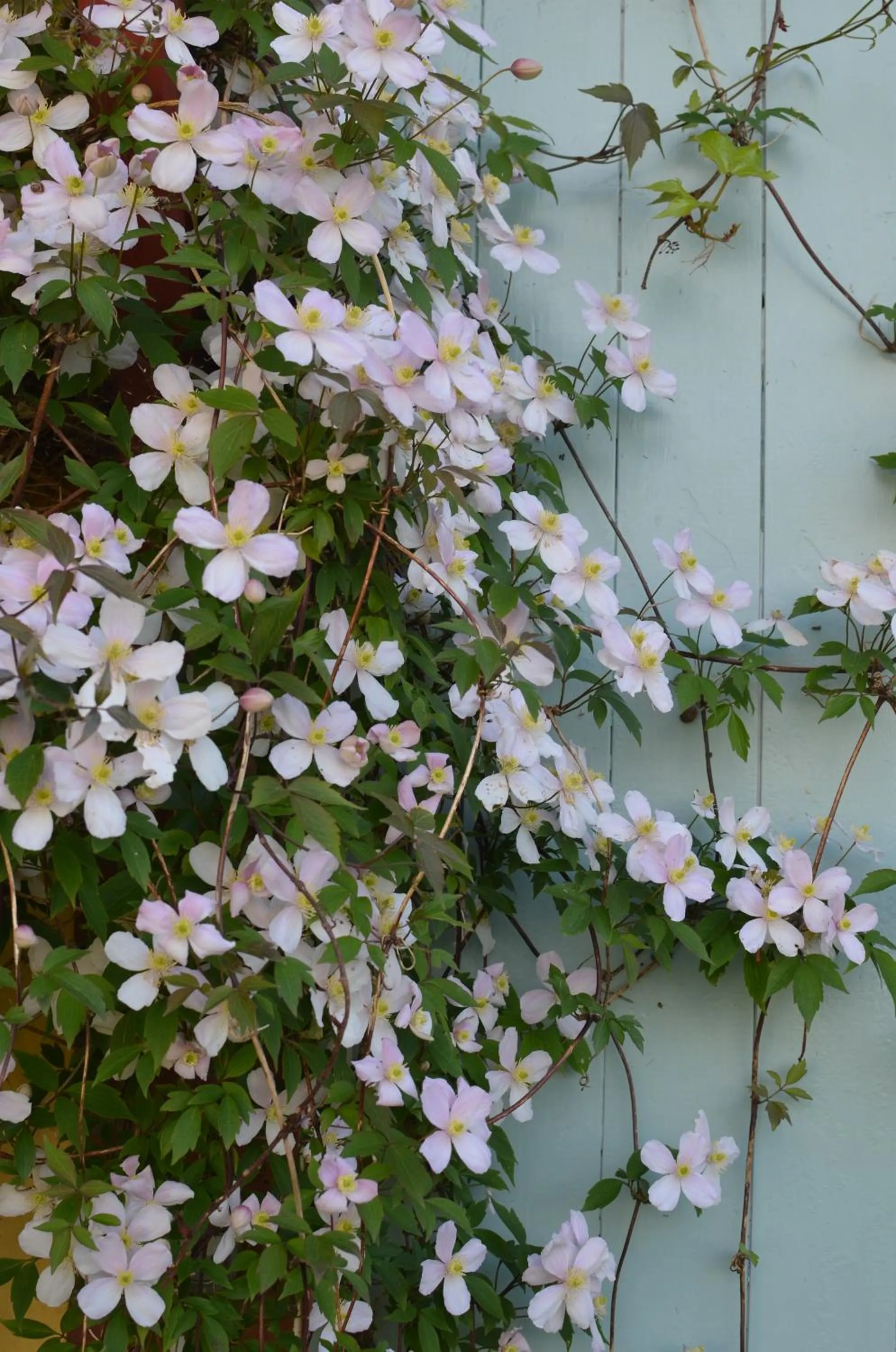 Property building in Le clos du Ru