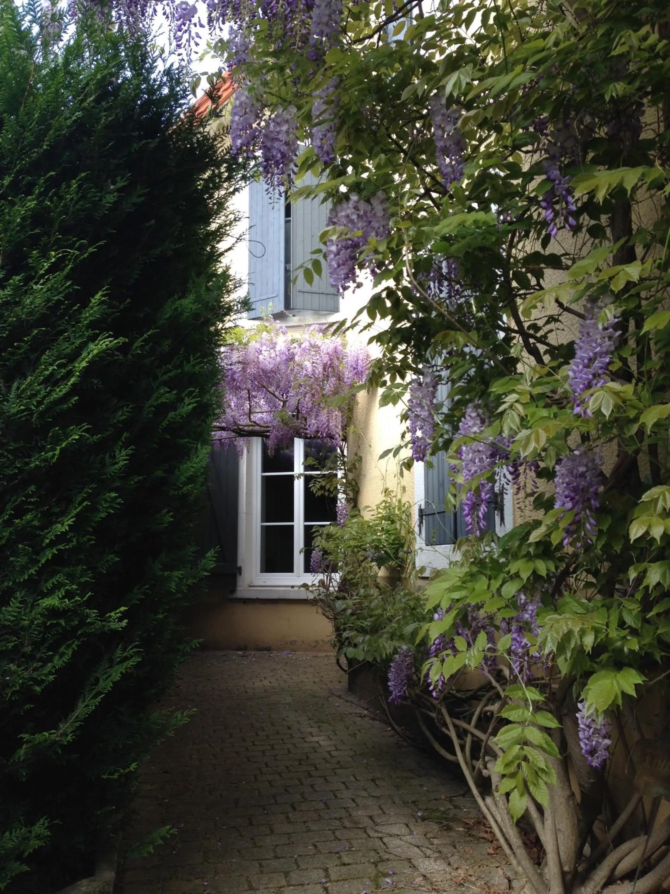 Chambre d'Hôtes La Villa Molina