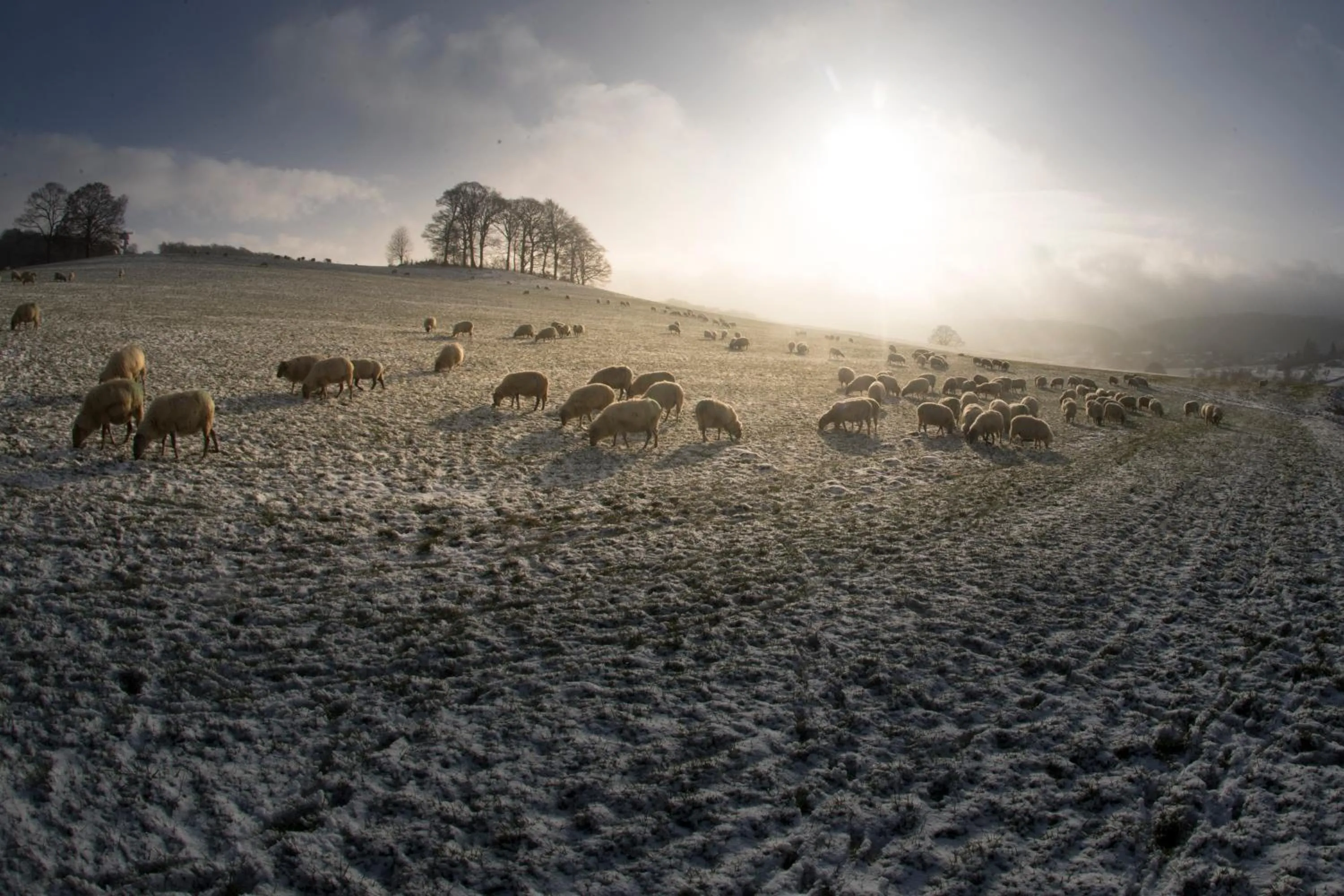 Hiking in MERICI Hotel Sittard