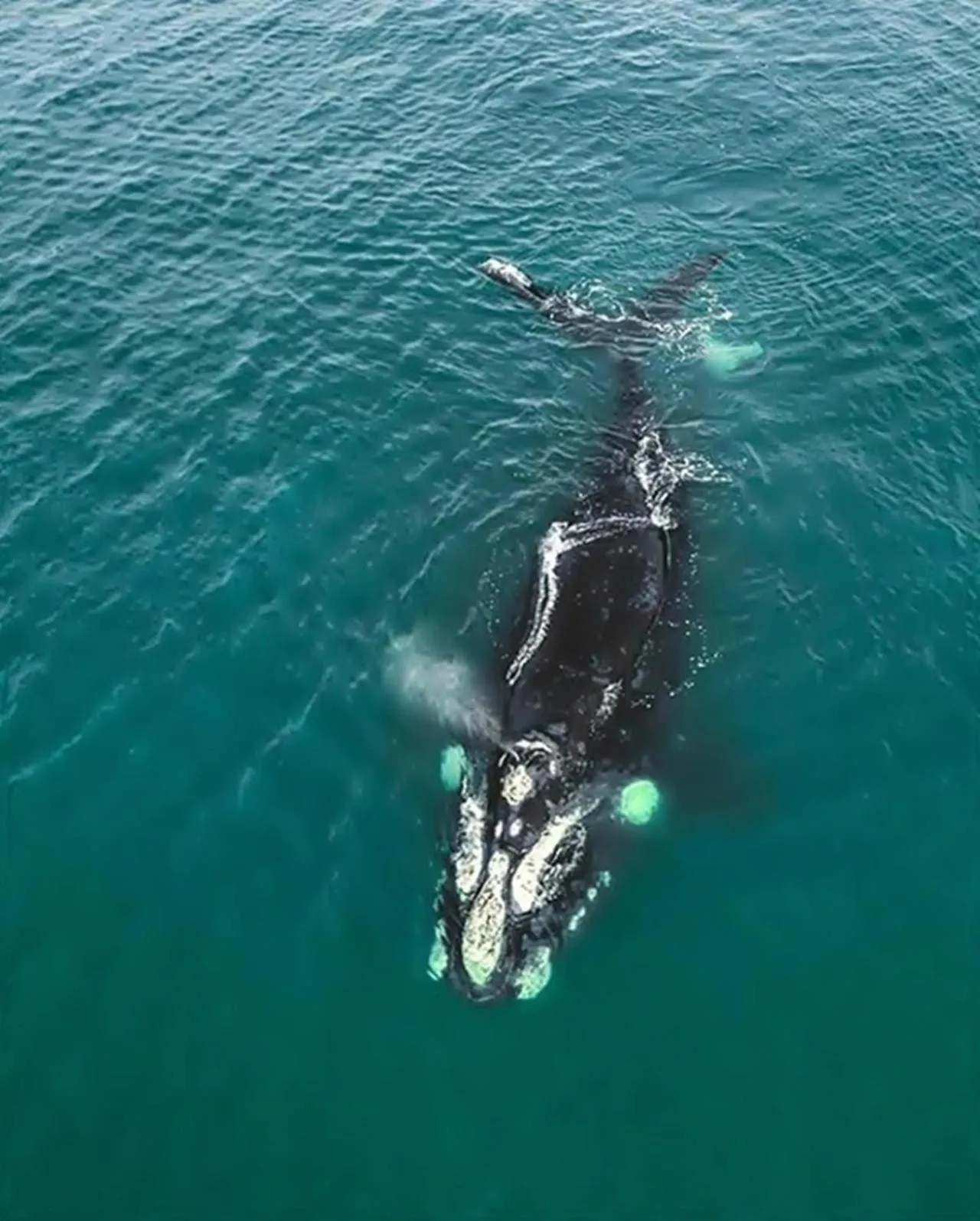 Off site in Villa Buena Vista