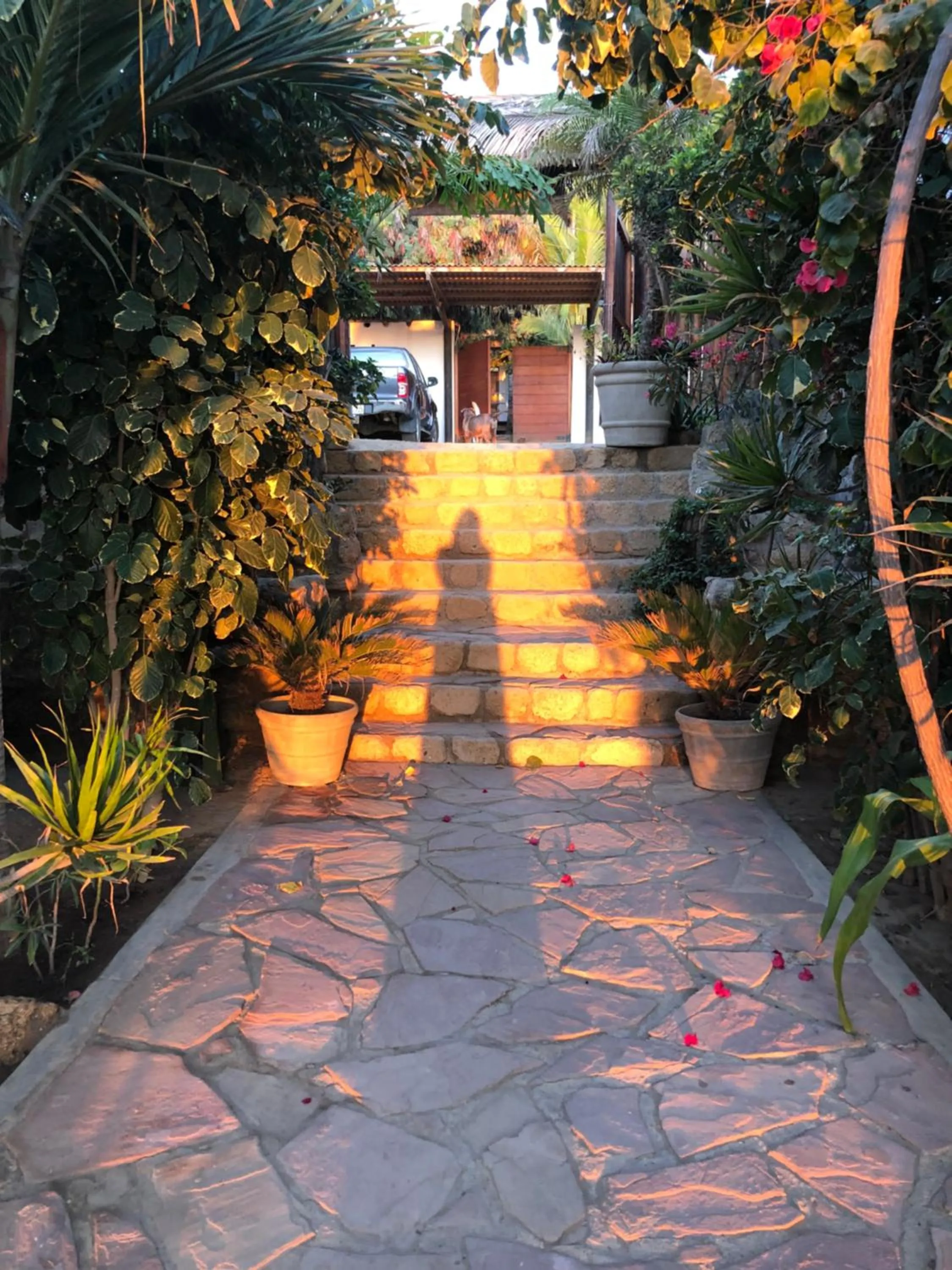 Lobby or reception in Los Cocos de Vichayito
