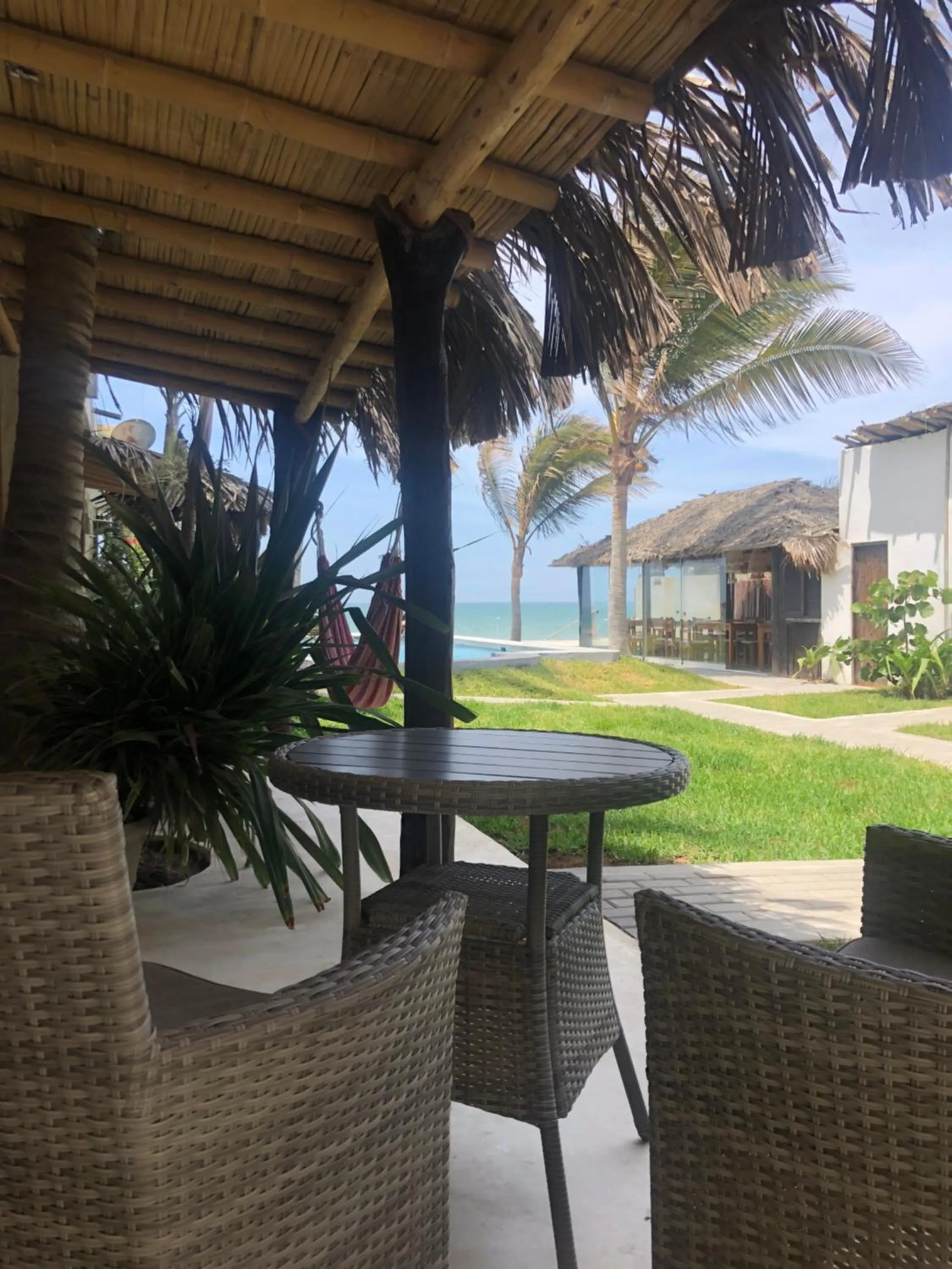 Los Cocos de Vichayito