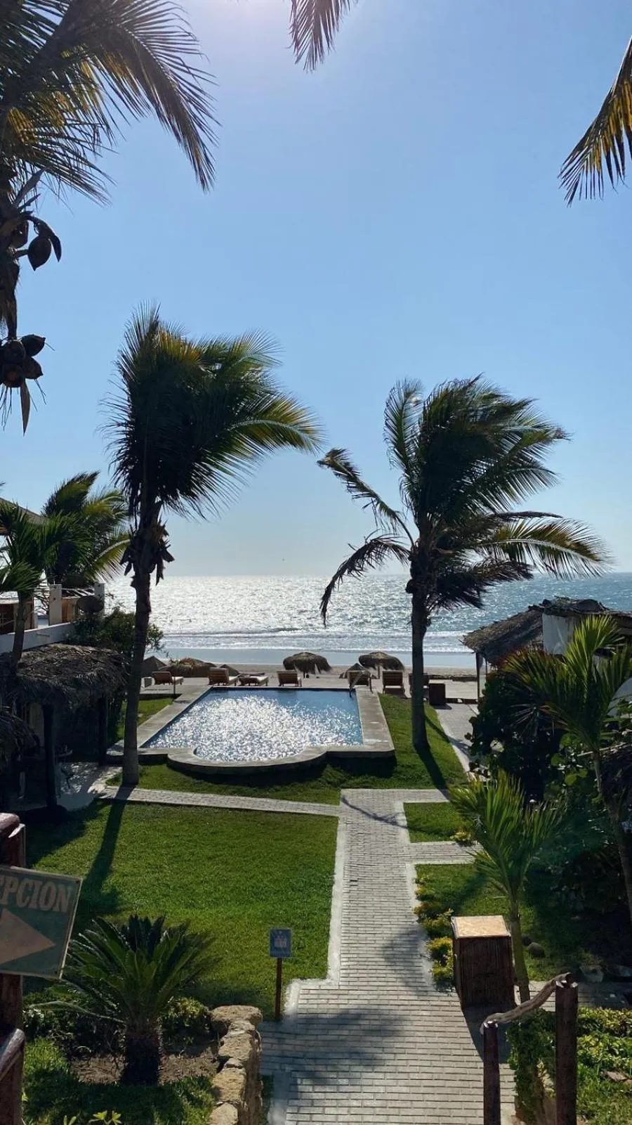 Los Cocos de Vichayito