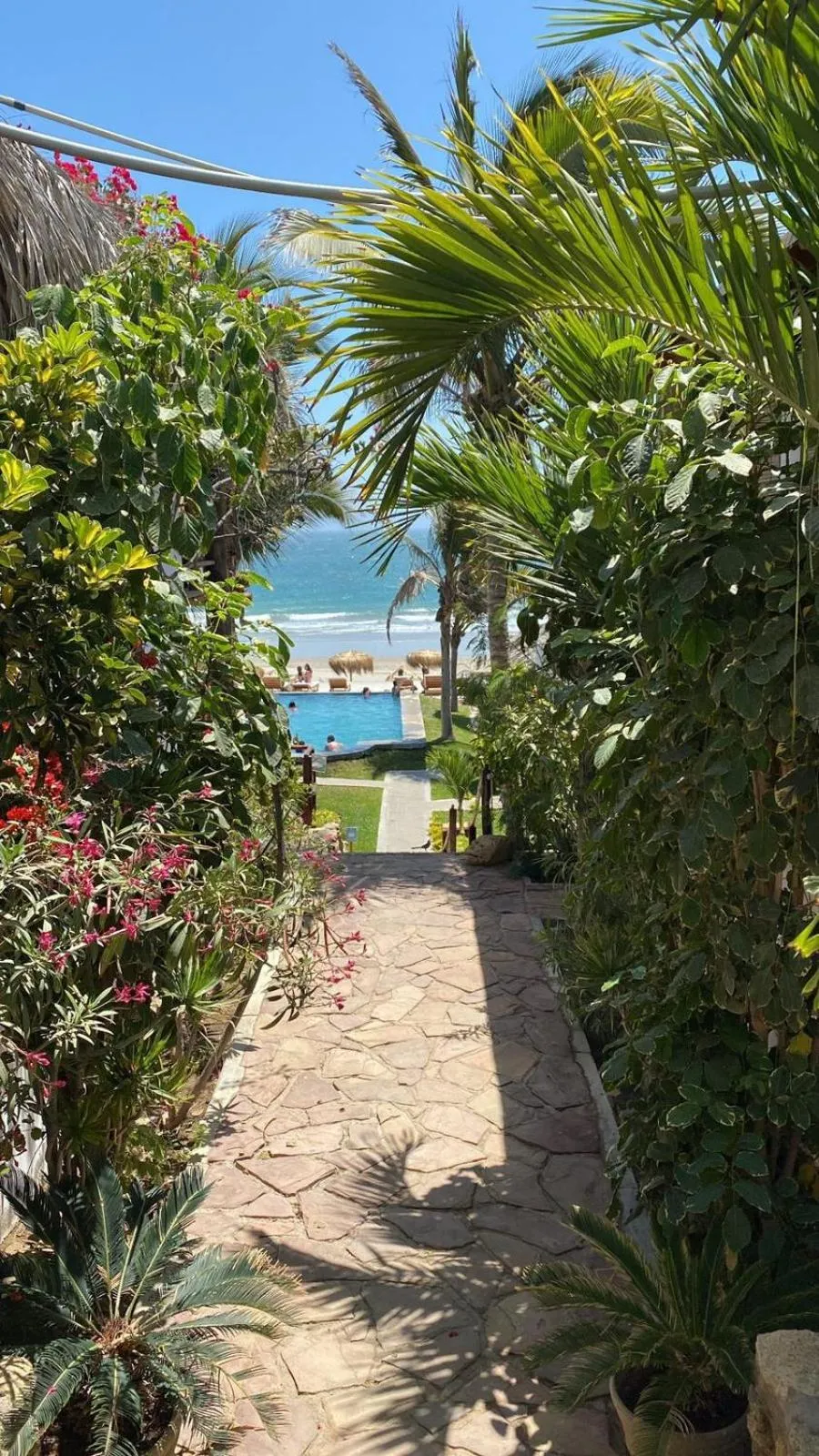 Los Cocos de Vichayito