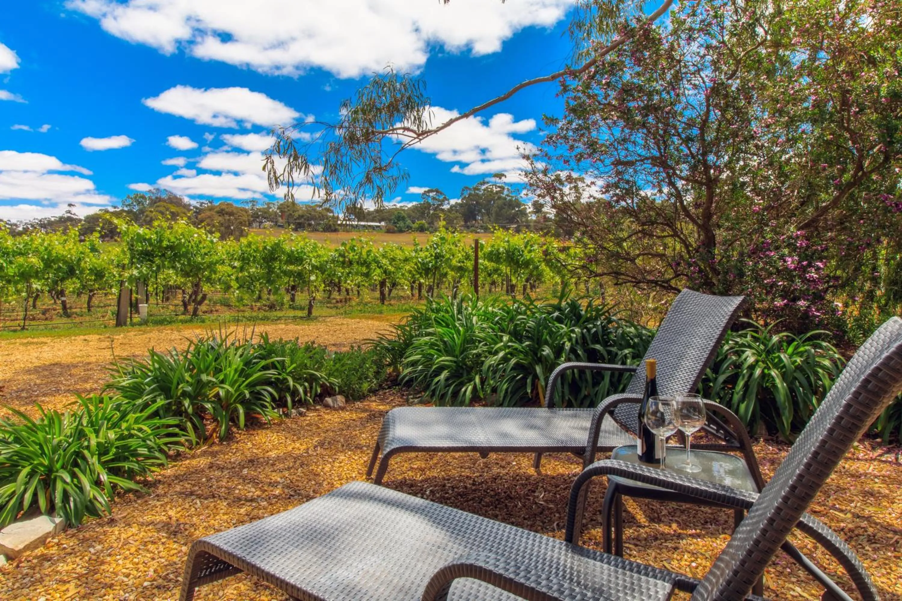 Garden in Stonewell Cottages and Vineyards