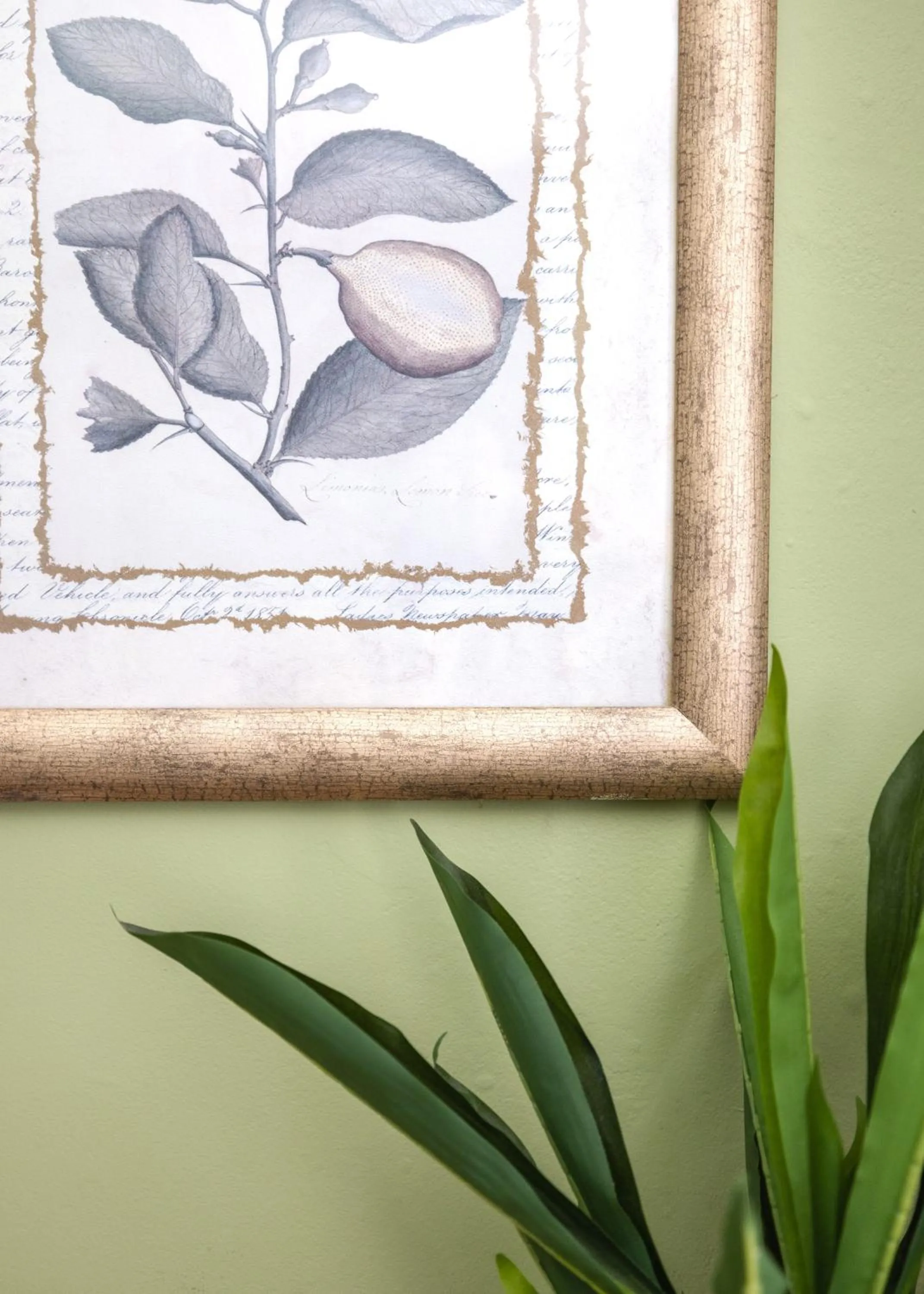 Decorative detail in Princess Anne Boutique Hotel