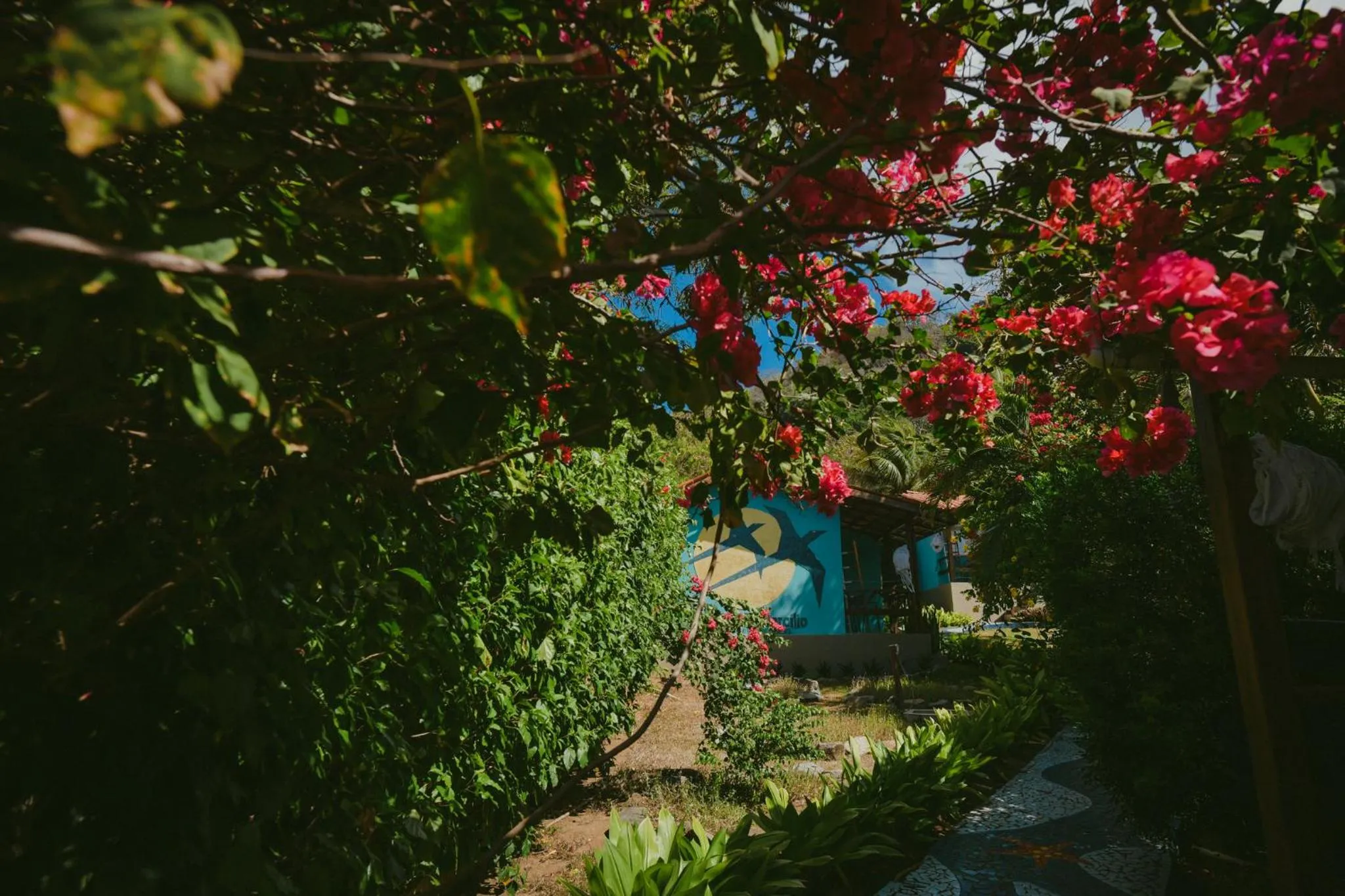 Garden in Ecocharme Pousada do Marcilio