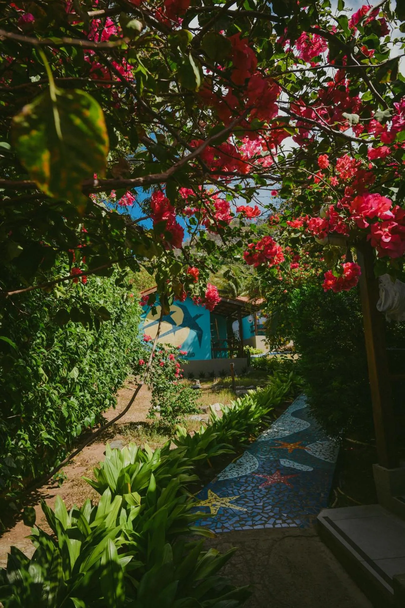 Garden in Ecocharme Pousada do Marcilio
