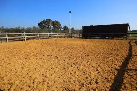 Horse-riding in Casa Rural Ecuestre