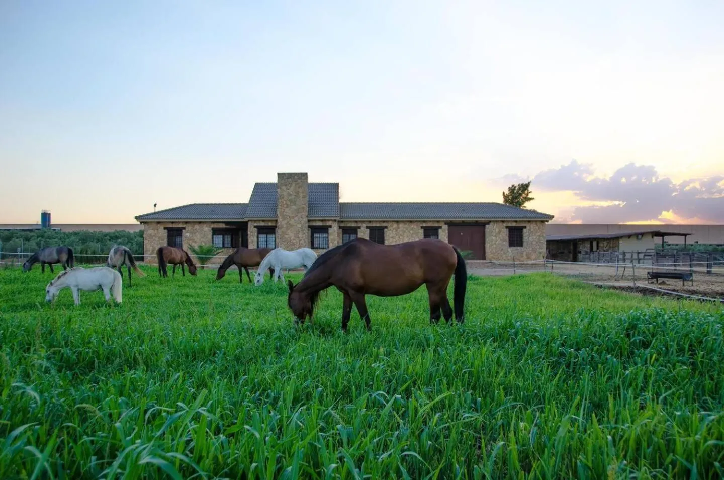 Day in Casa Rural Ecuestre