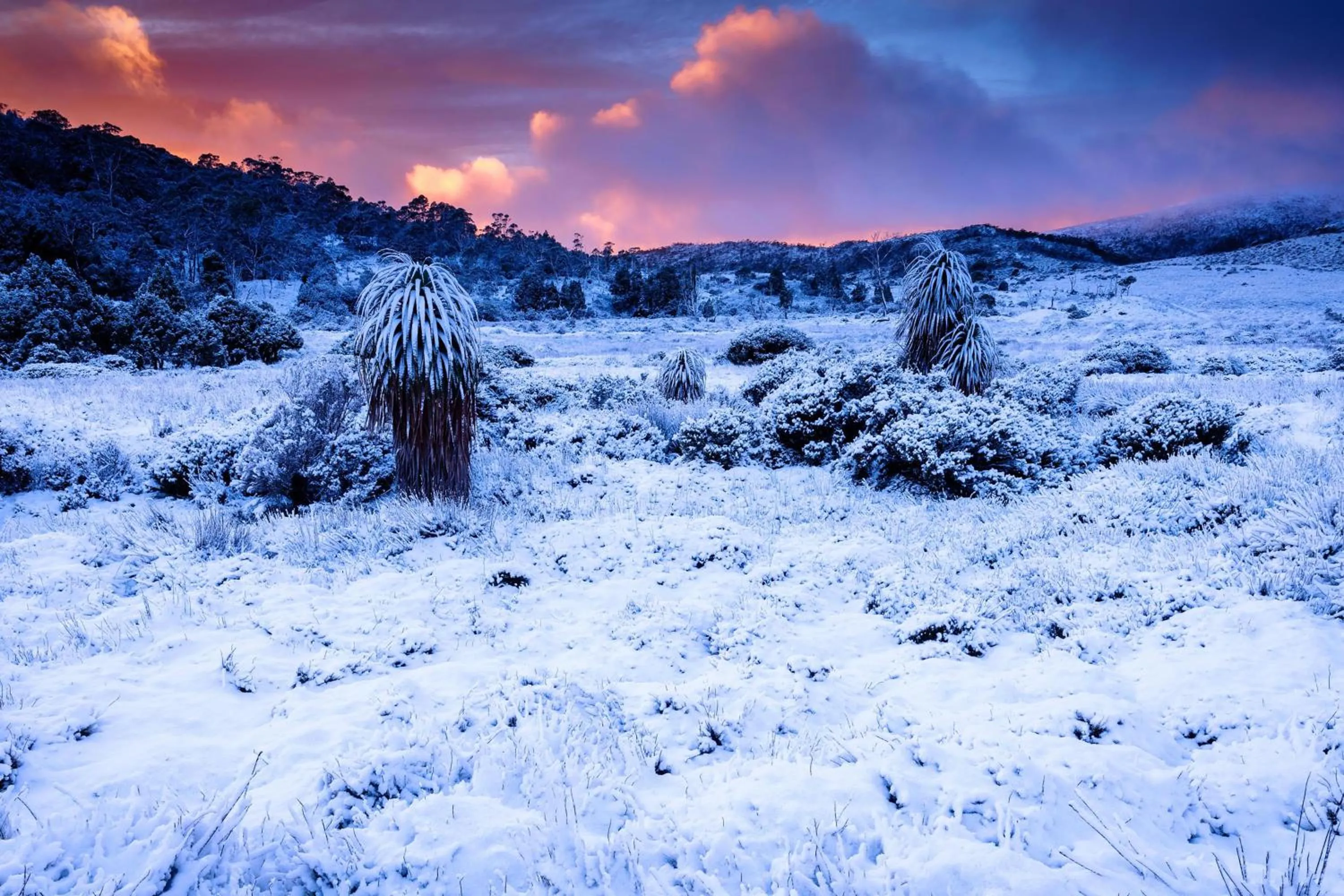 Natural landscape in Peppers Cradle Mountain Lodge
