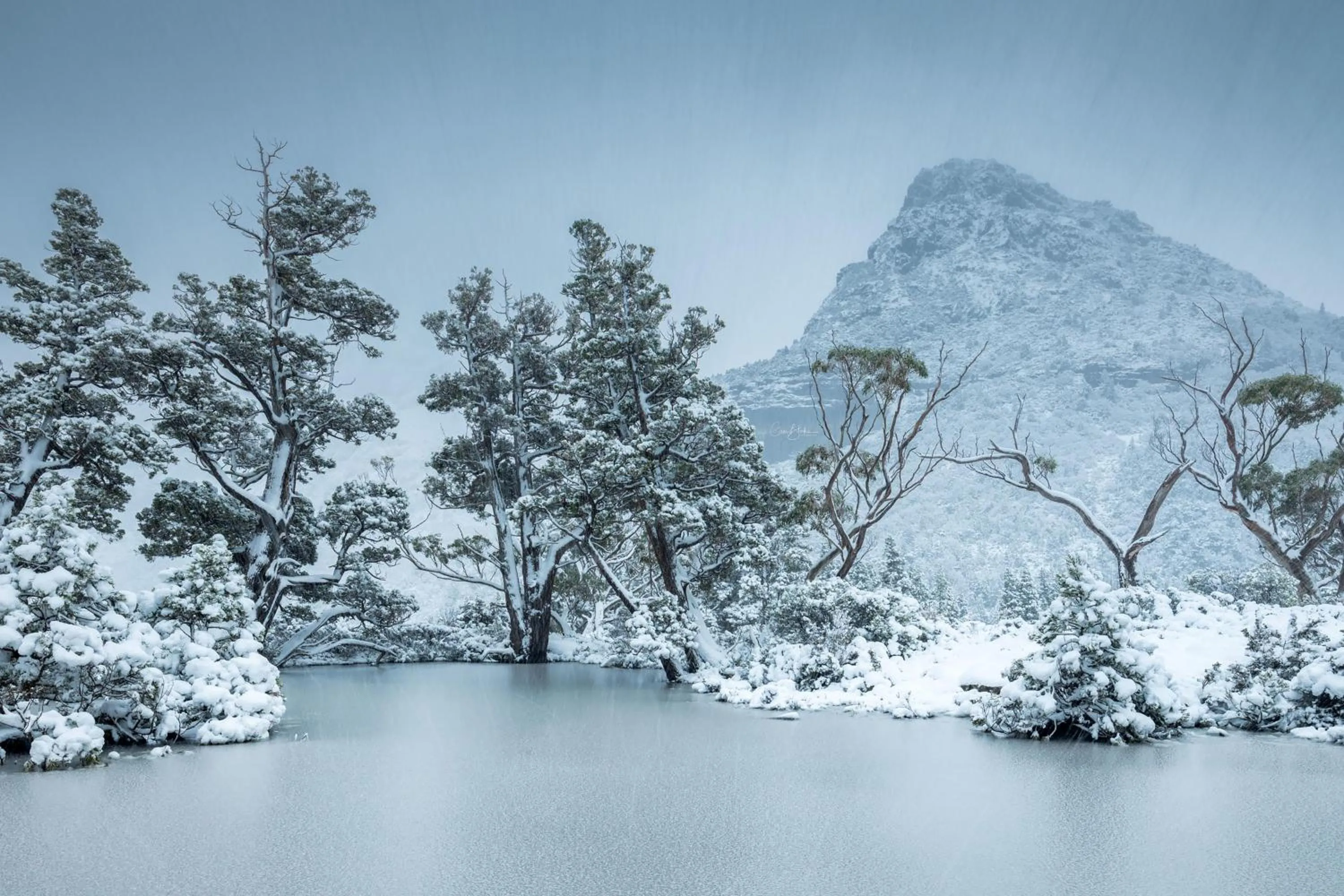 Natural landscape in Peppers Cradle Mountain Lodge