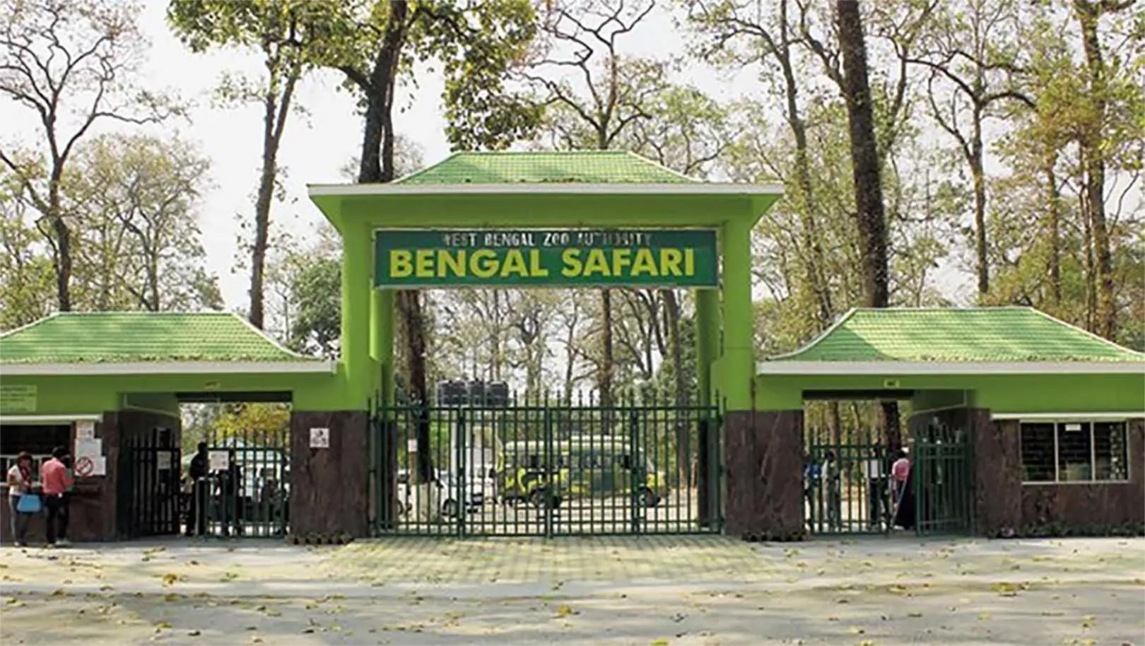 Activities in The Cindrella Hotel