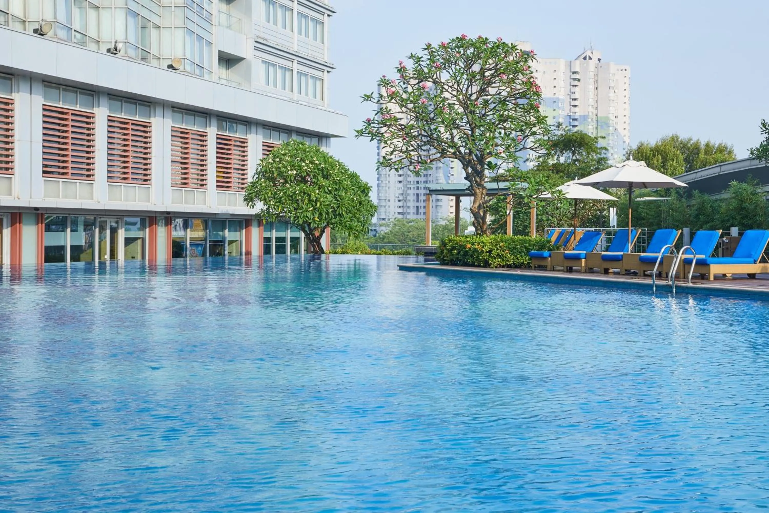 Swimming pool in The Westin Shenzhen Nanshan