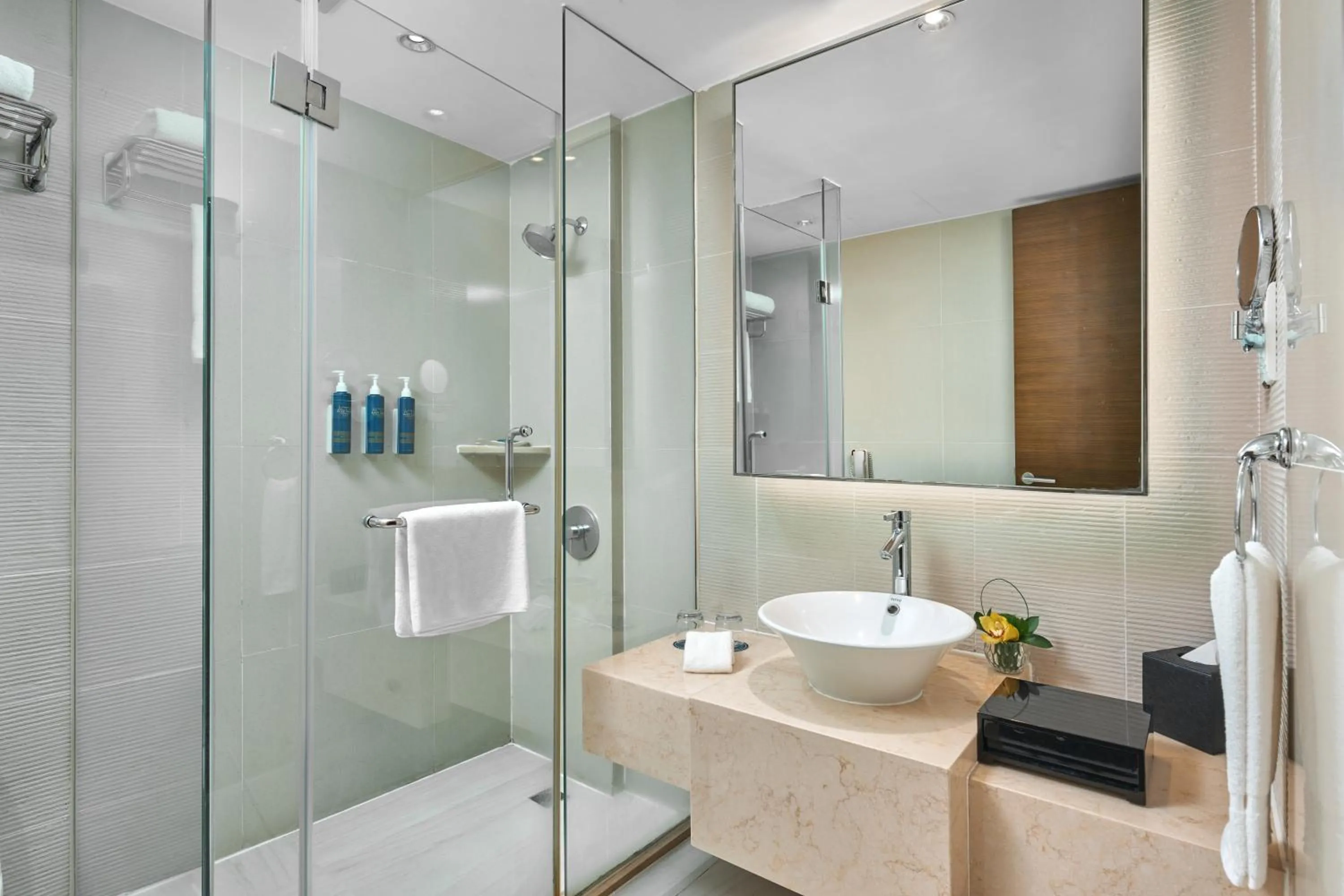 Toilet in Four Points by Sheraton Shanghai, Daning