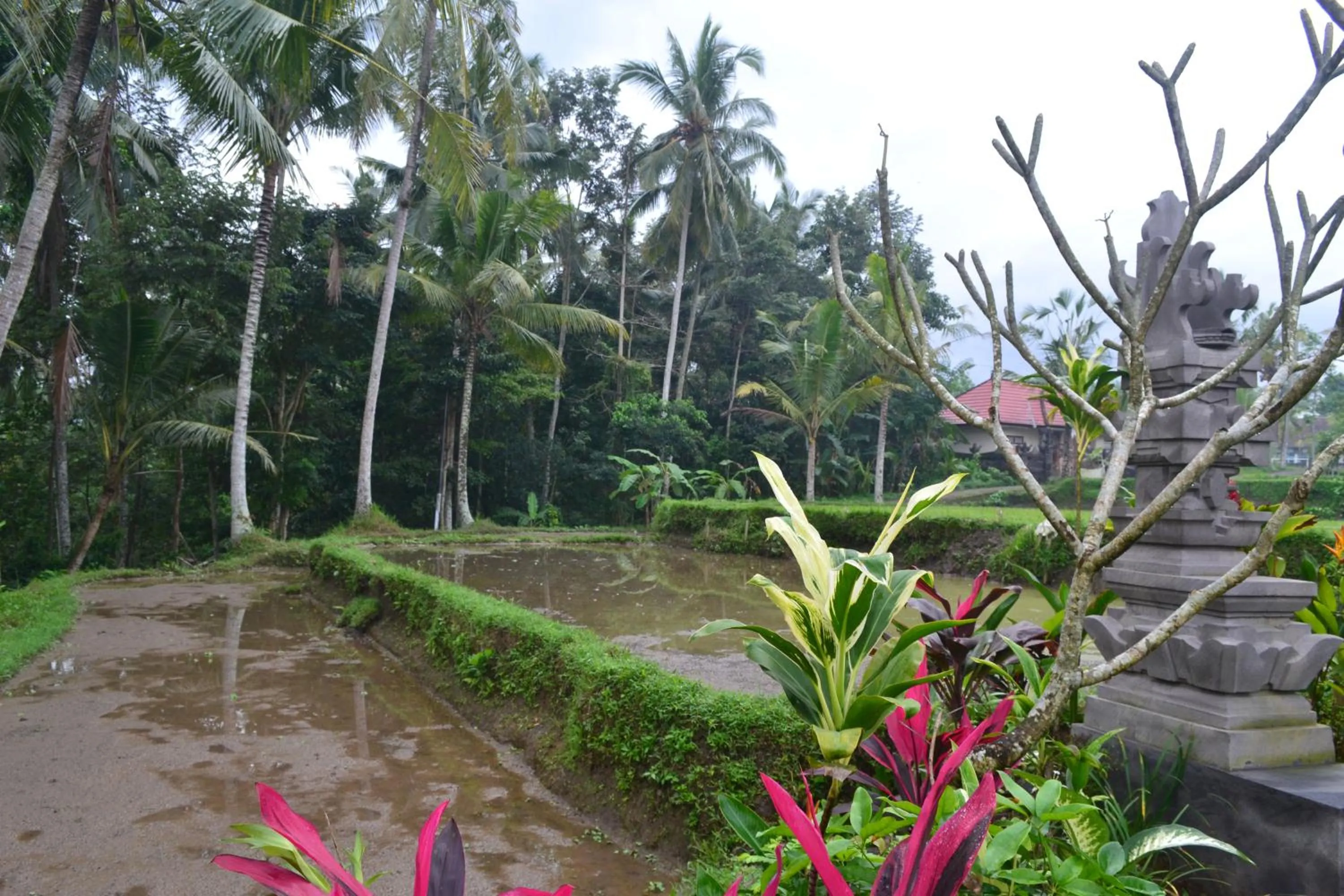 Nearby landmark in Buda Cottage Ubud