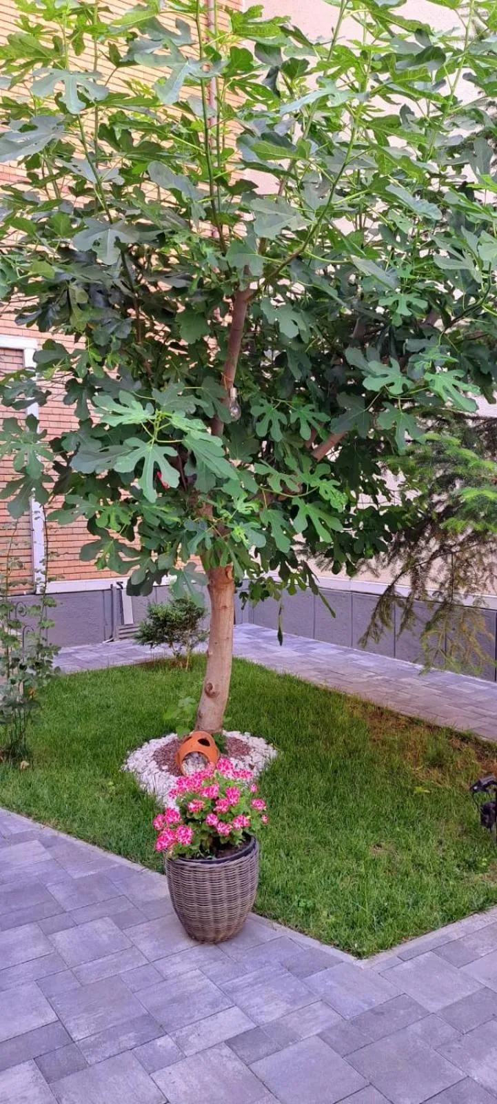 Spring in Hotel Bulevard Prestige