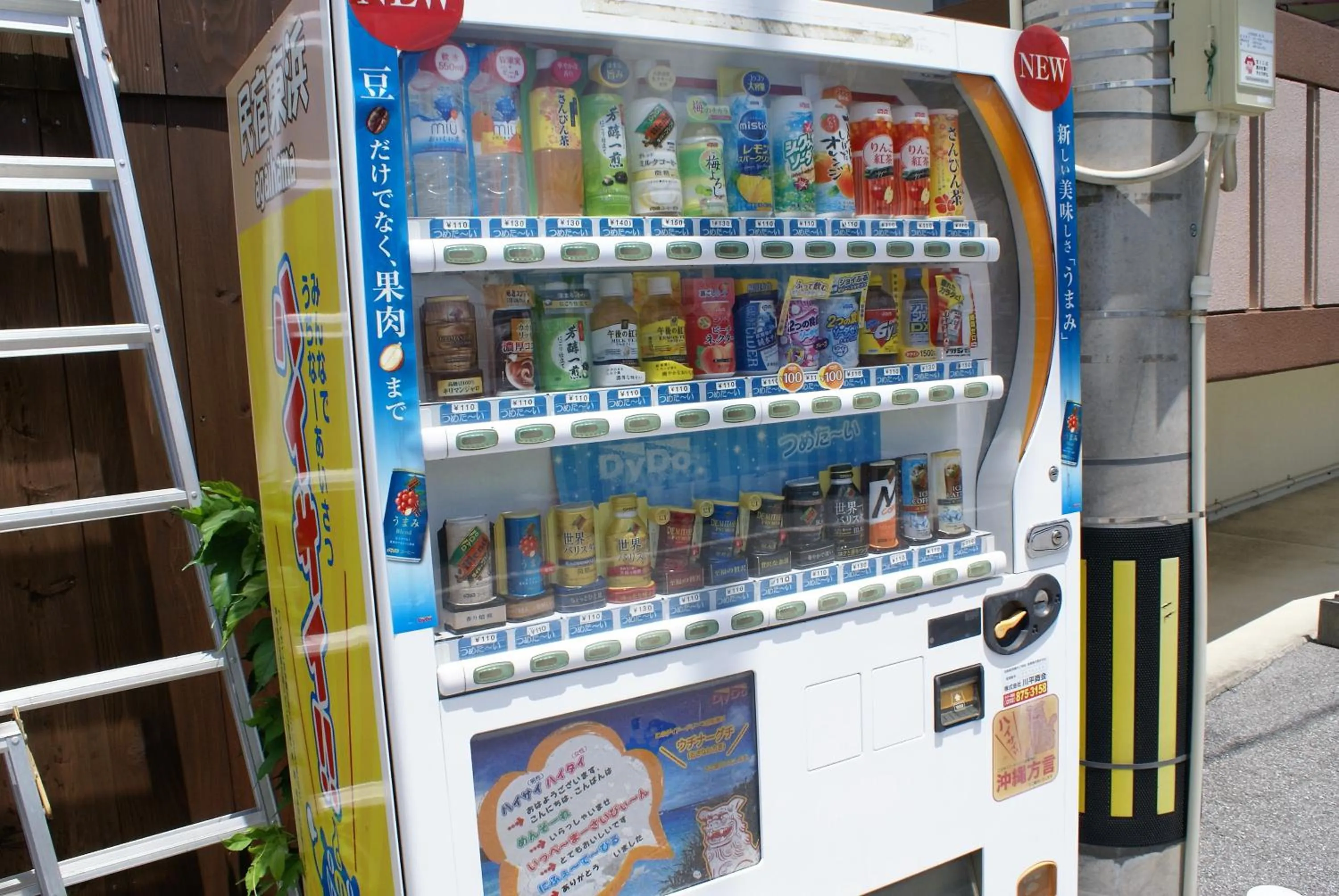 Non alcoholic drinks in Minshuku Agaihama