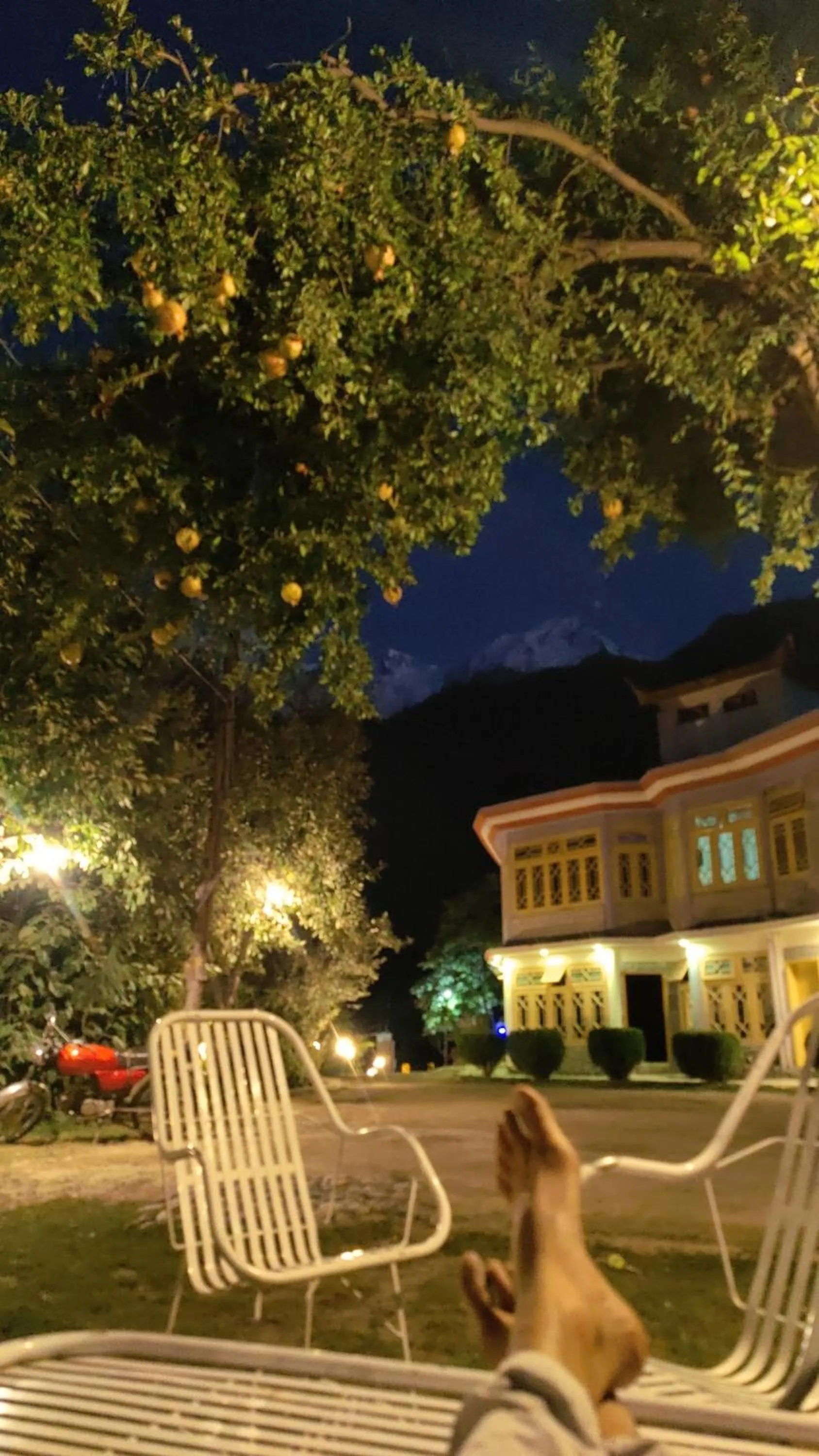 Property building in Hikal Guest House