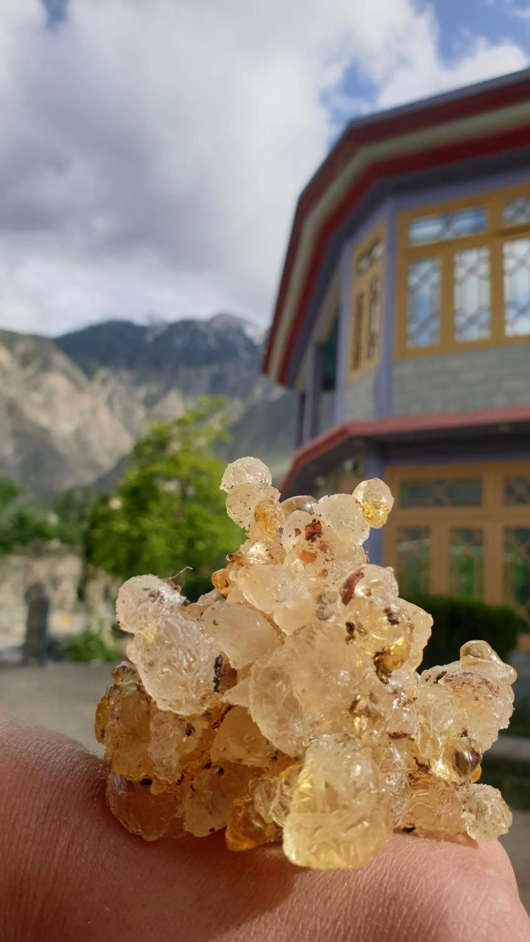 Natural landscape in Hikal Guest House