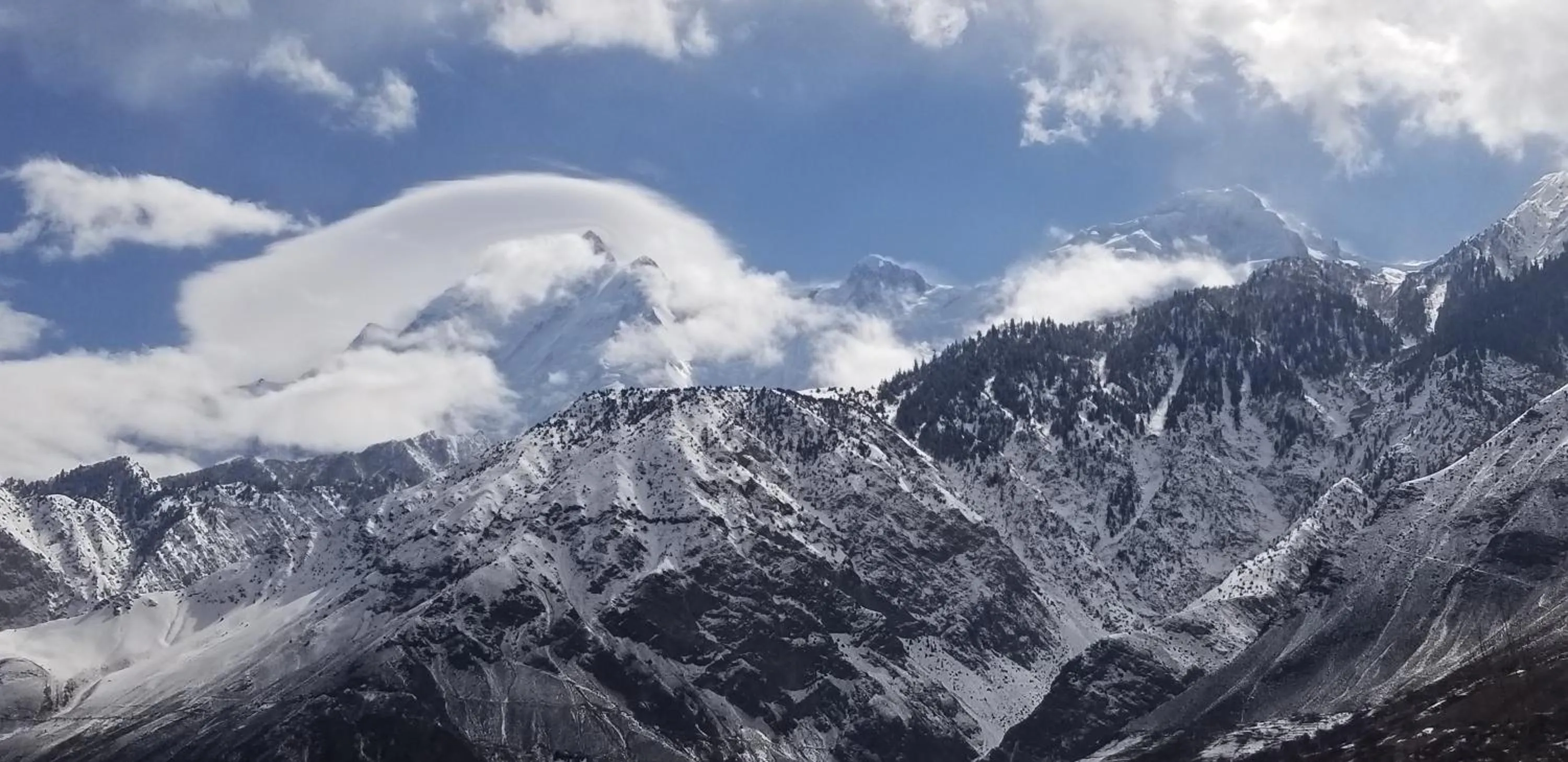 Day in Hikal Guest House