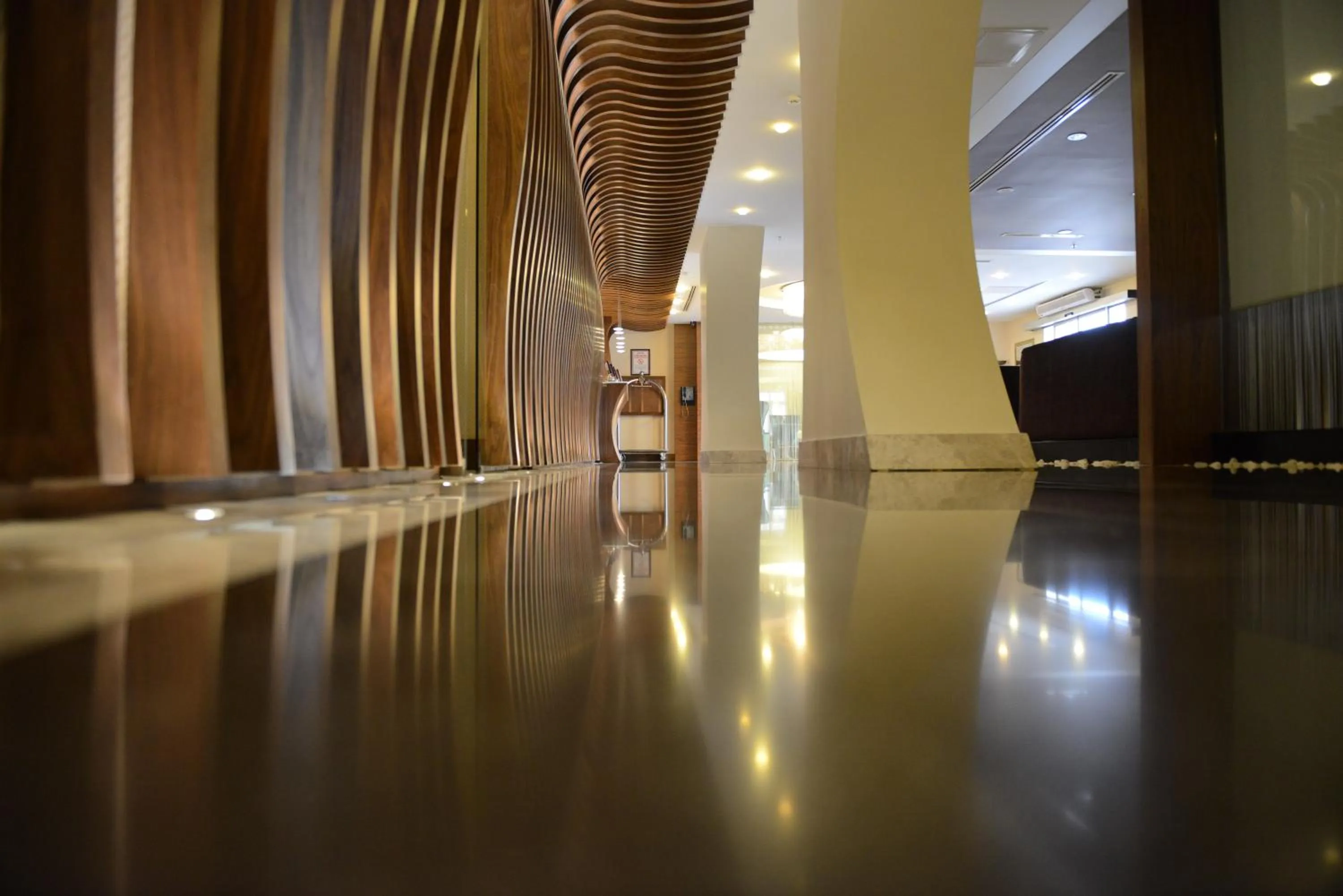 Lobby or reception in Adana Plaza Hotel