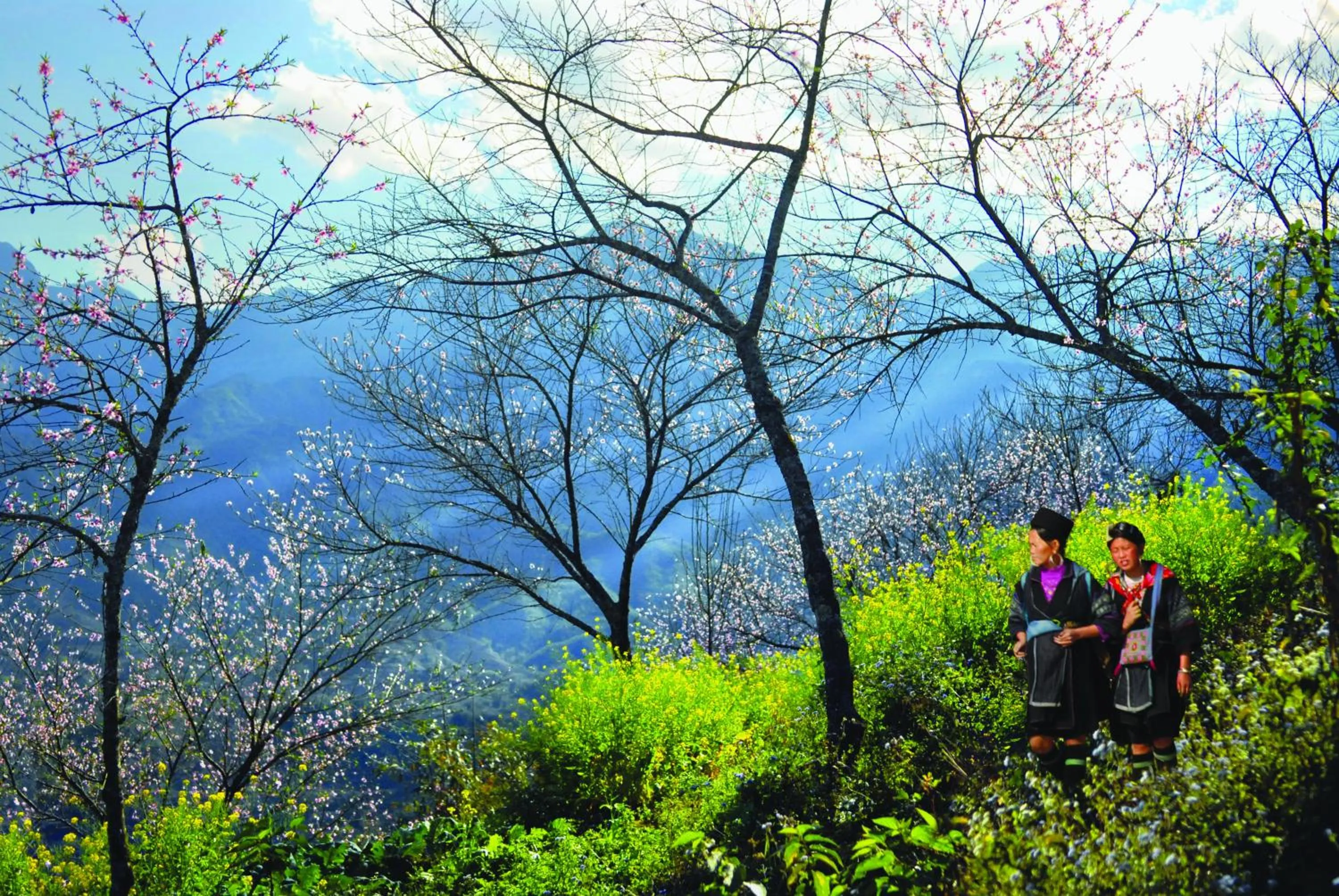 Other in Hotel de la Coupole - MGallery