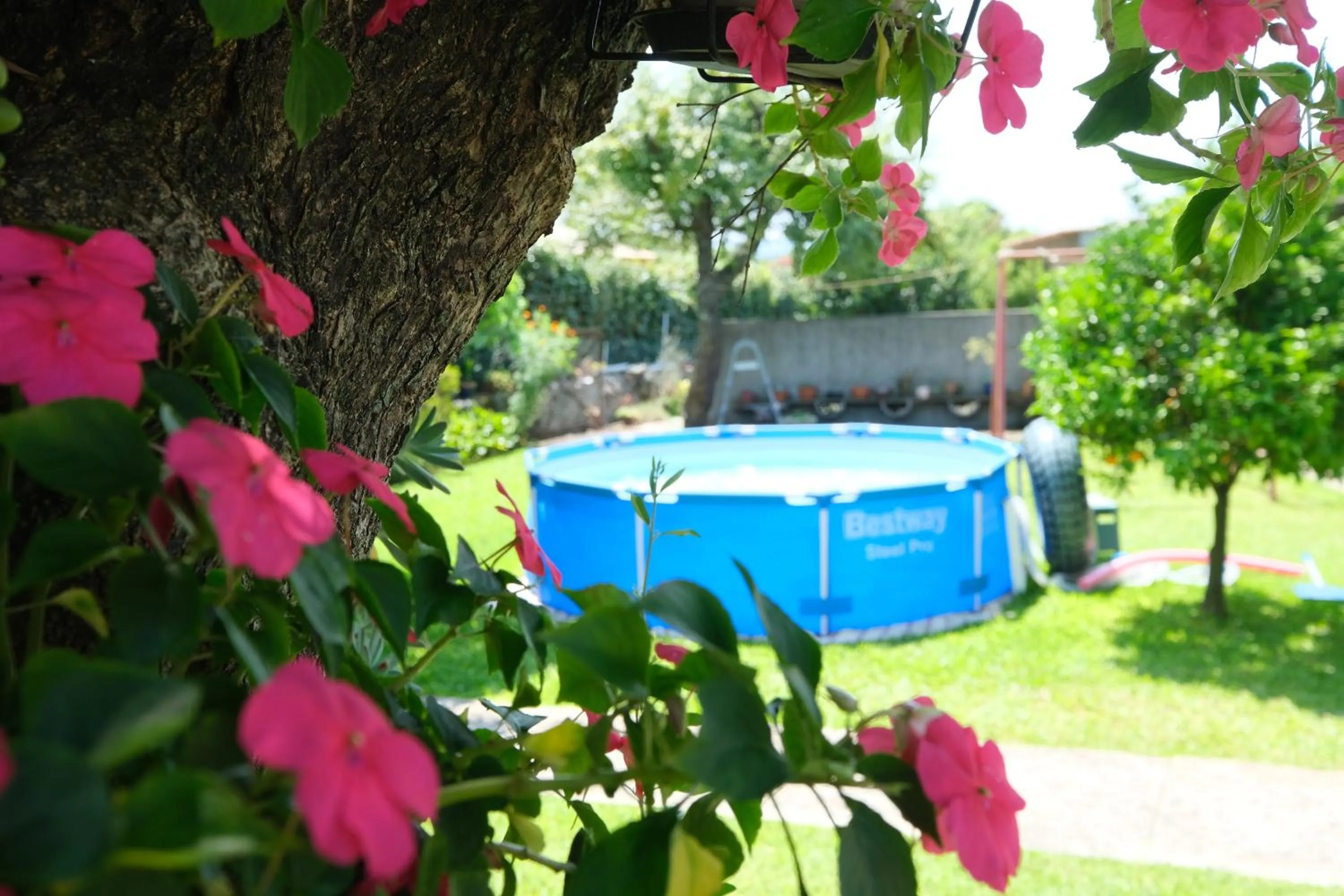 Garden in Quintinha d´Avó