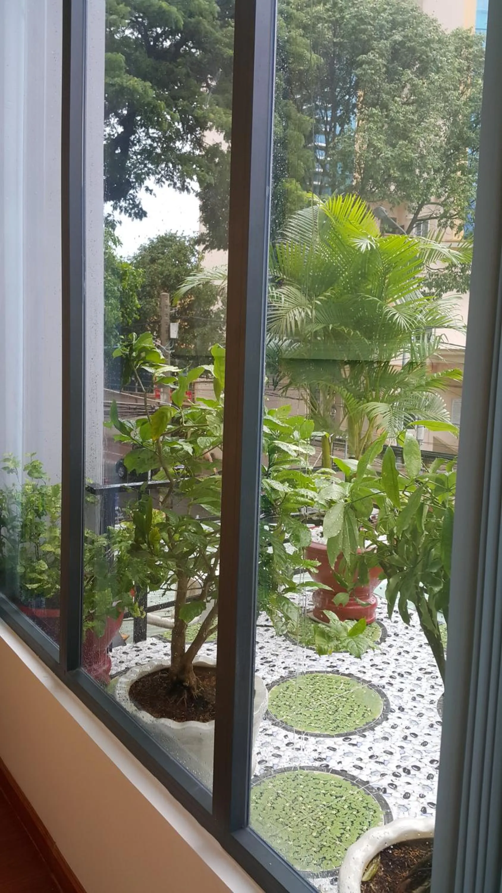 Tomorrow Hostel Vũng Tàu - Tomorrow Homestay